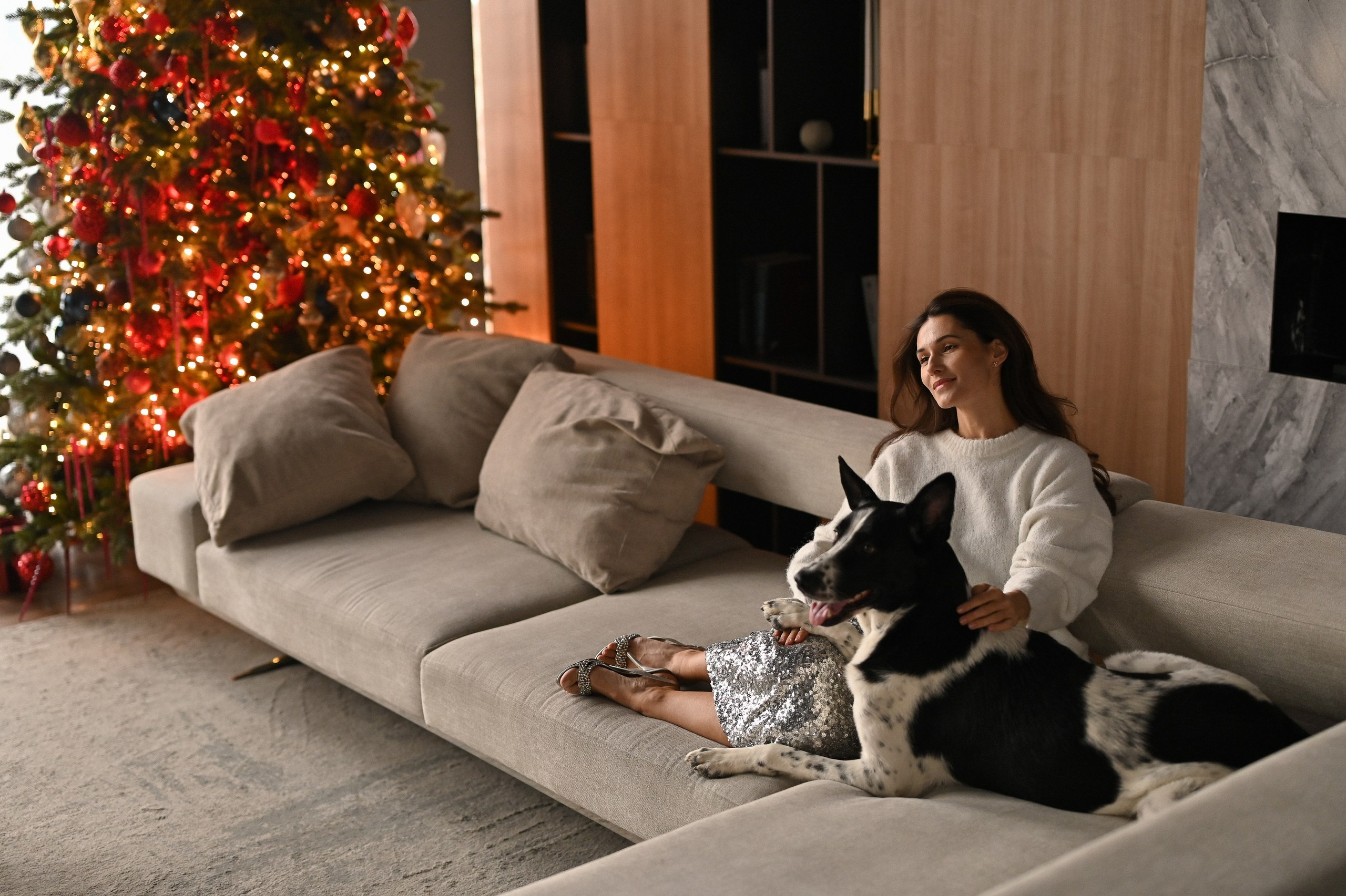 Новогодняя фотосессия с собакой в студии Мимика, зал Наоми. Марианна и Куруш. Semerlina.ru