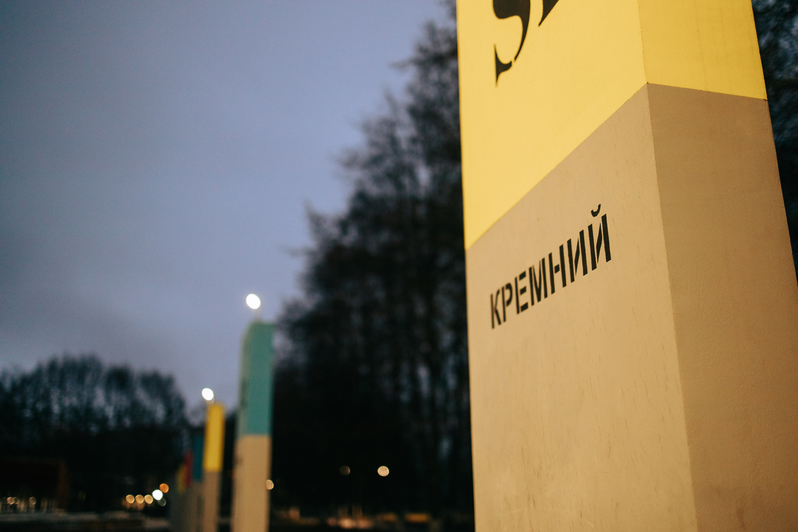 Алексин. Свадебный и семейный фотограф в Туле и области Маша Костина