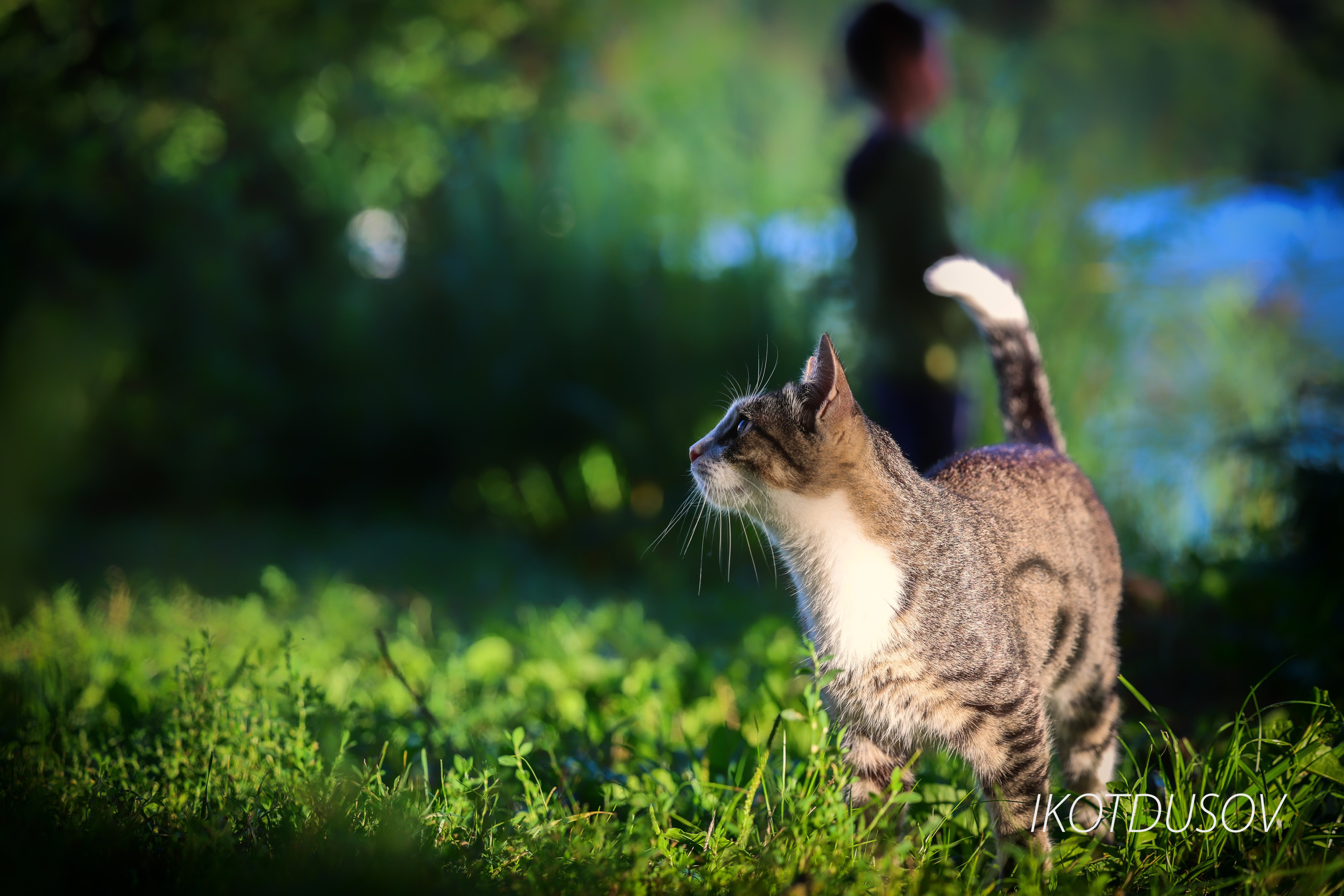 Животный мир. Ikotdusov