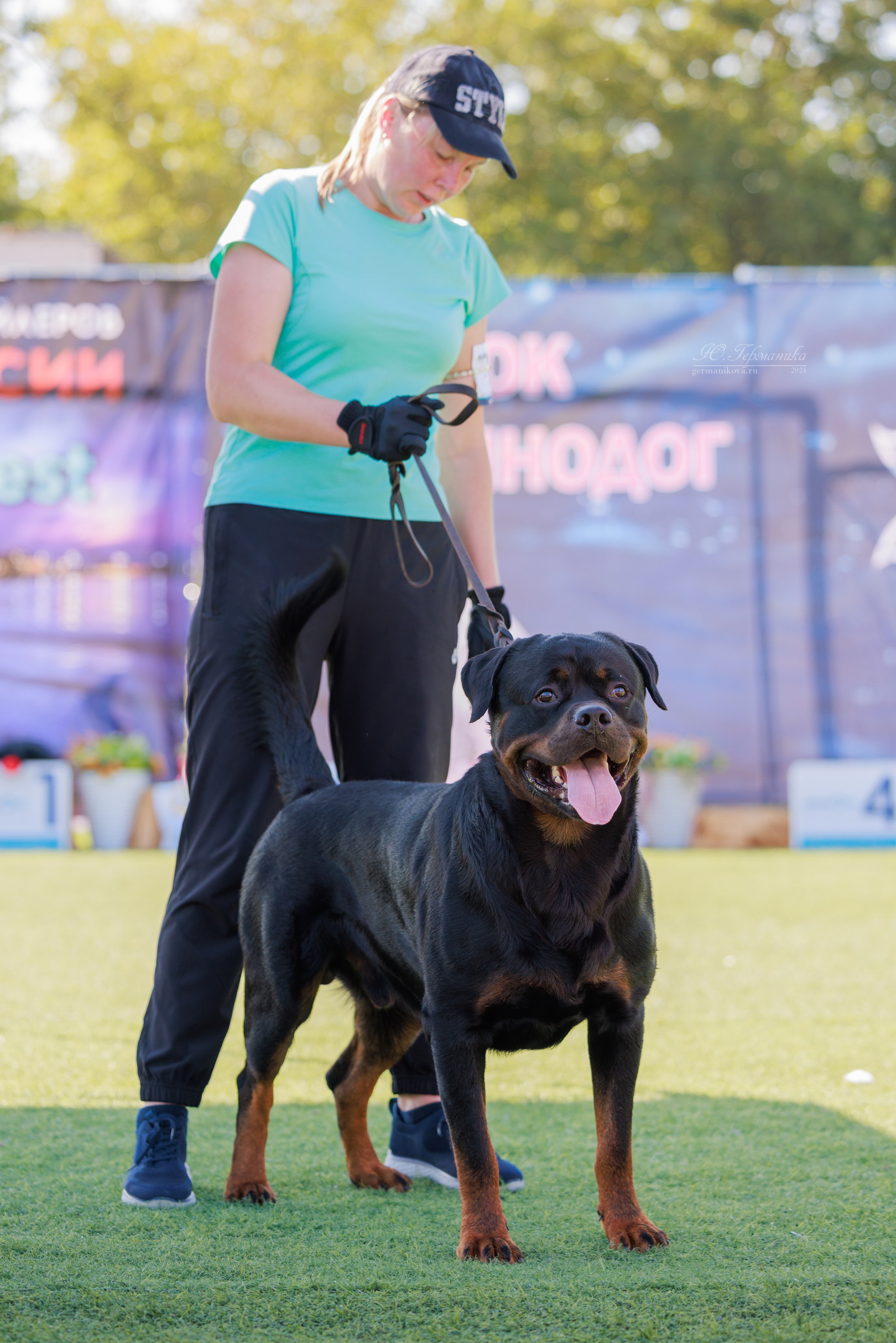 Анапа ротвейлеры 14-15.09.2024. Фотограф-анималист Юлия Германика
