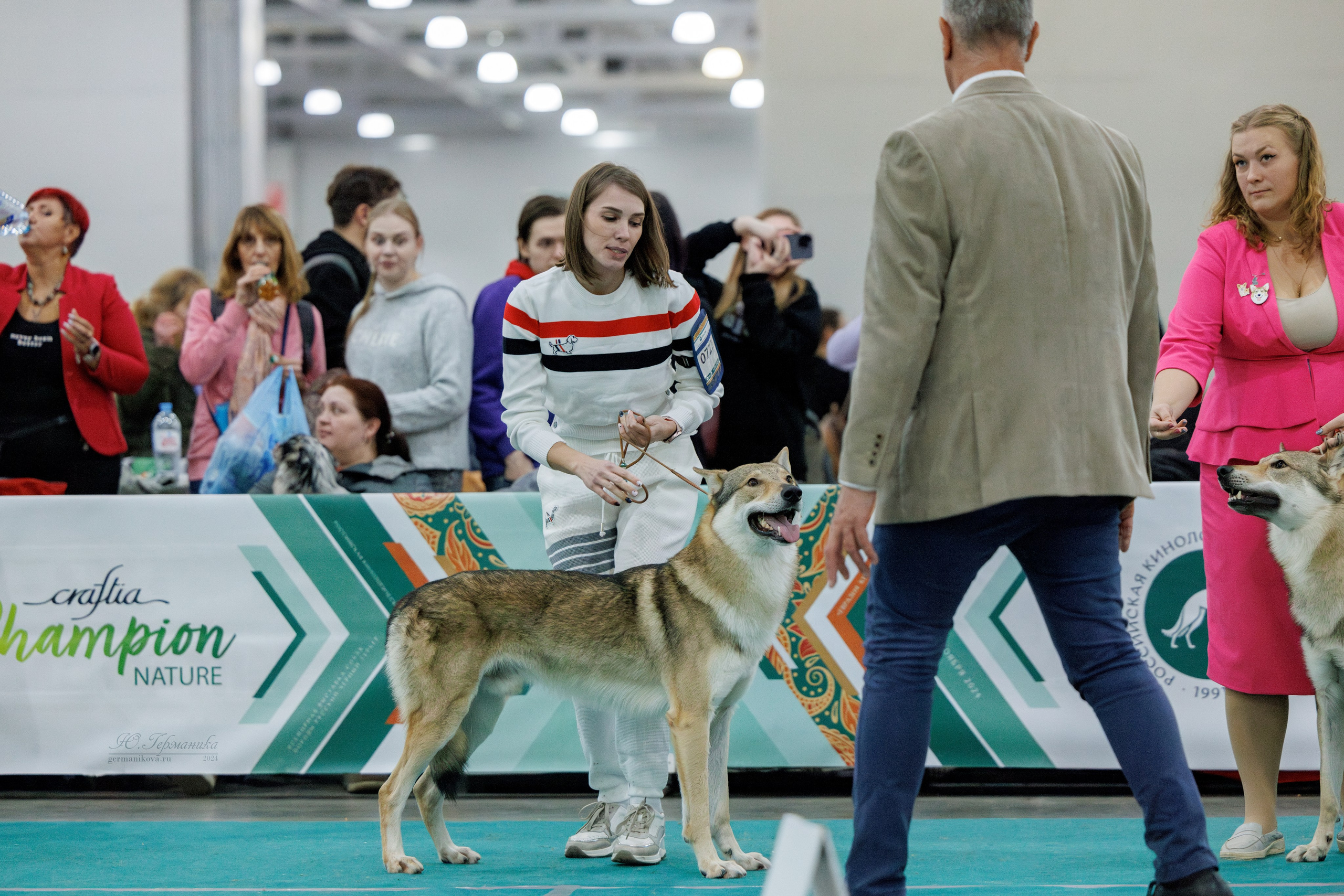 Евразия 16-17.11.2024. Фотограф-анималист Юлия Германика