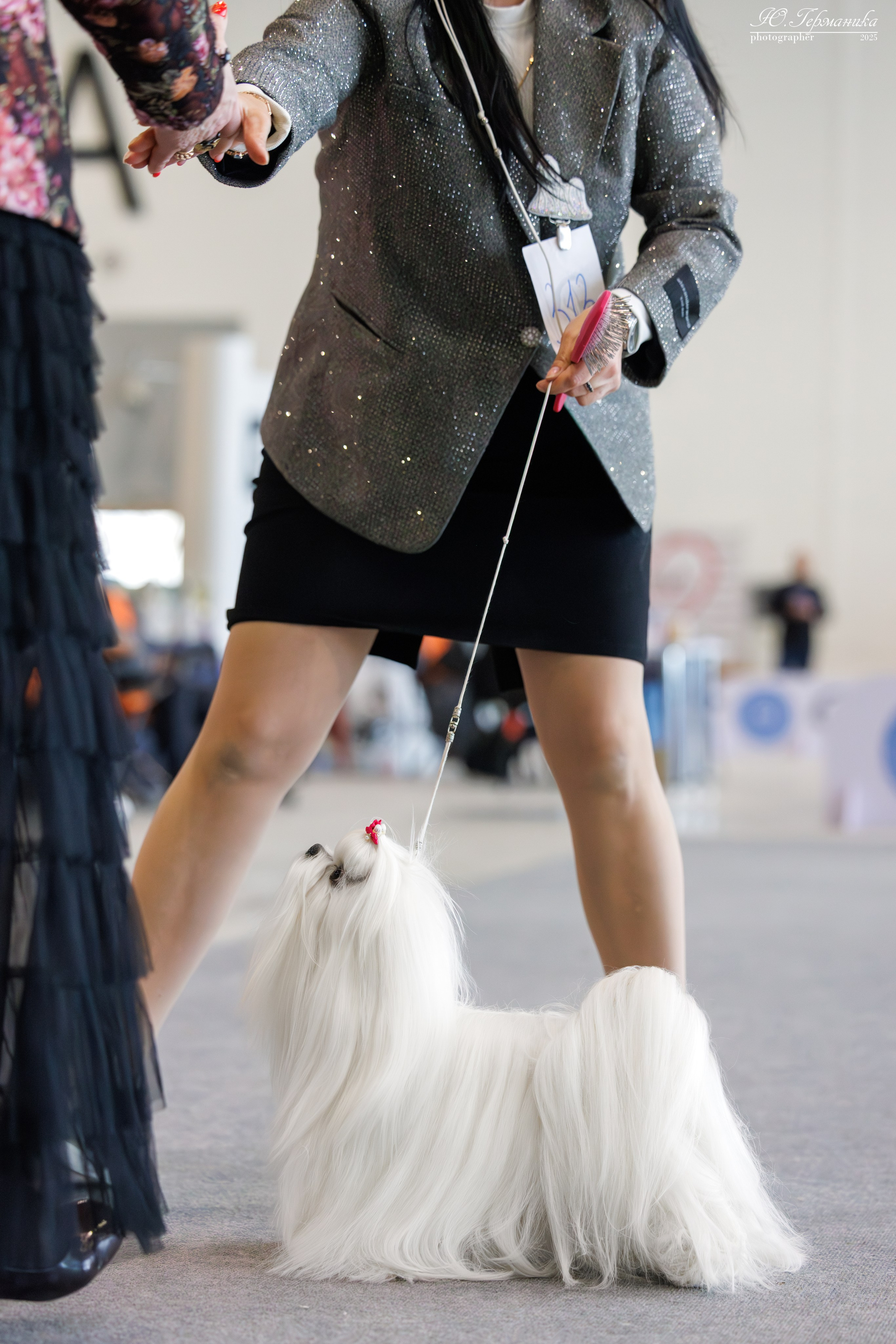 Астана 2хCACIB 3-4.05.2025. Фотограф-анималист Юлия Германика