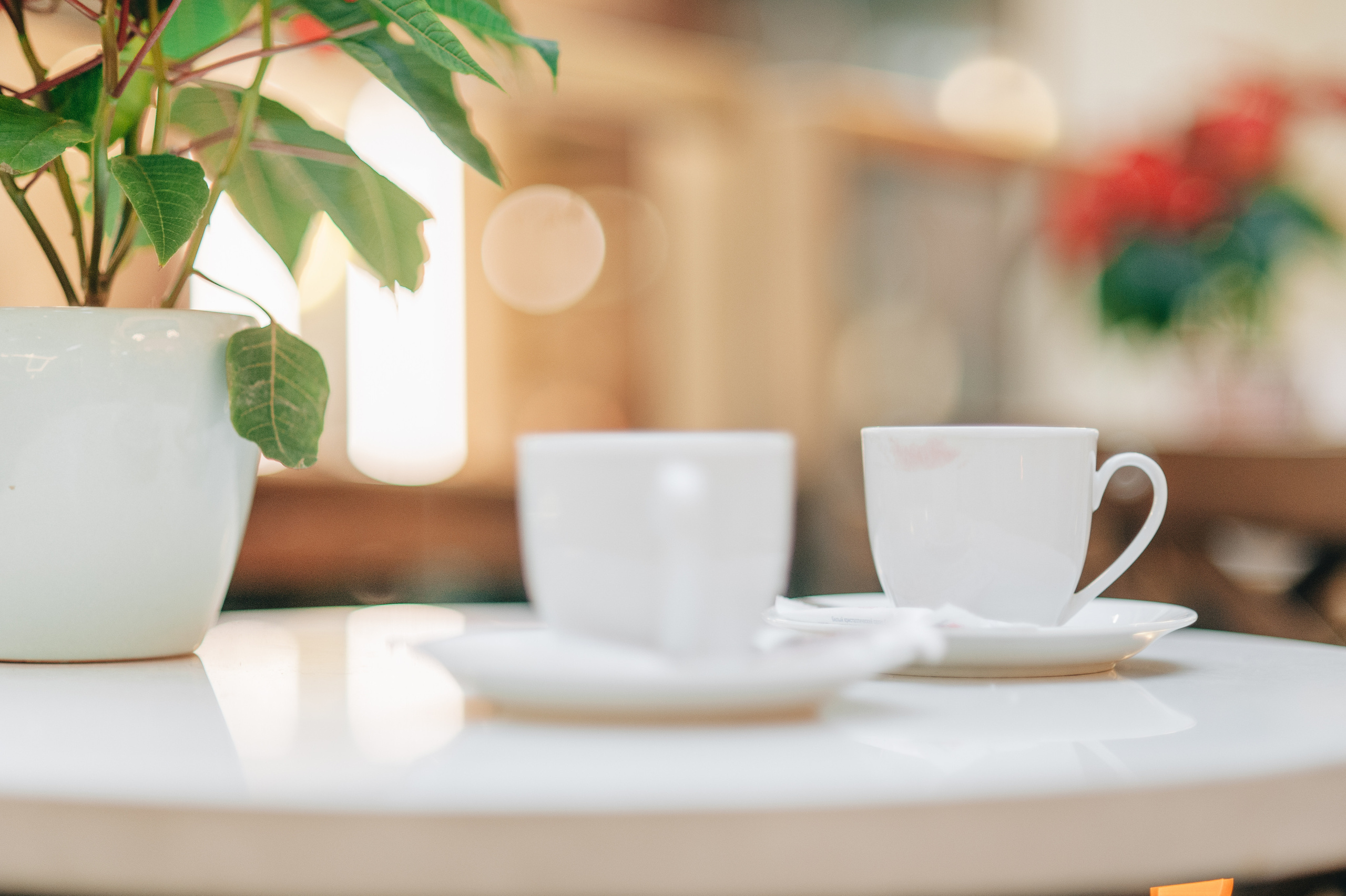 Лидия и Ральф. Фотосессия Лавстори (Love Story). Семейный фотограф в Москве Елена Снегирева