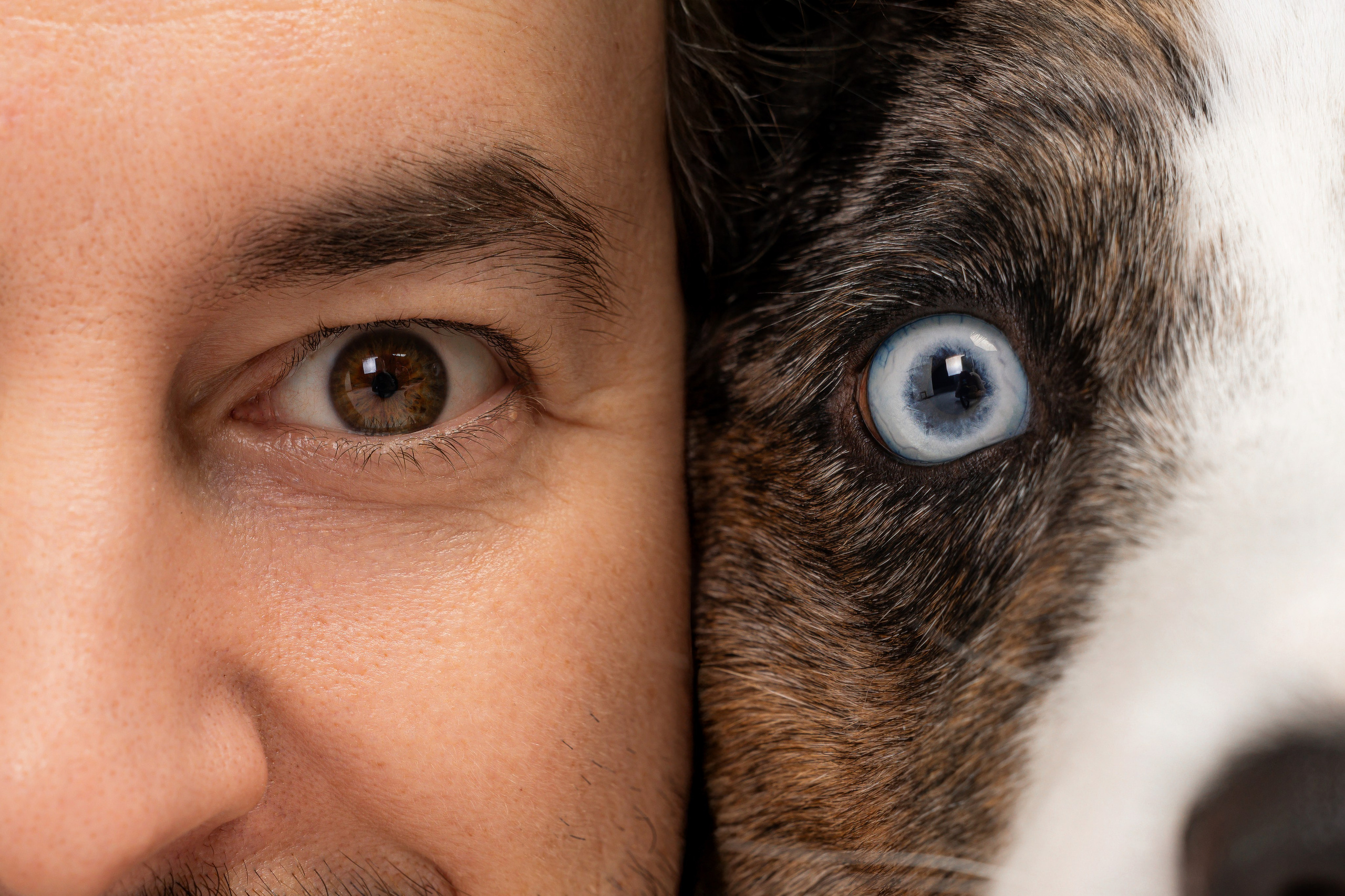 Анатолий и Рагнар