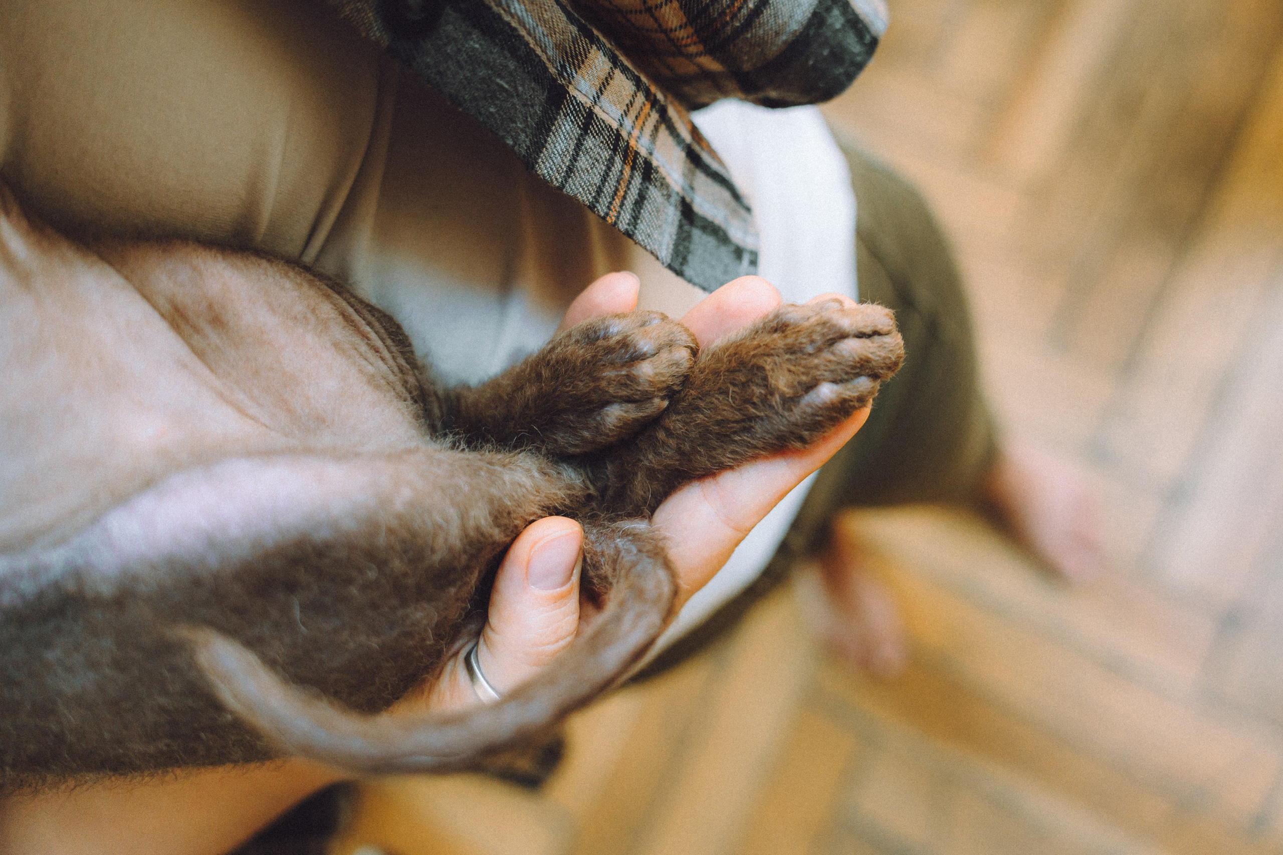 Кокос, Света, Динара и Вилли