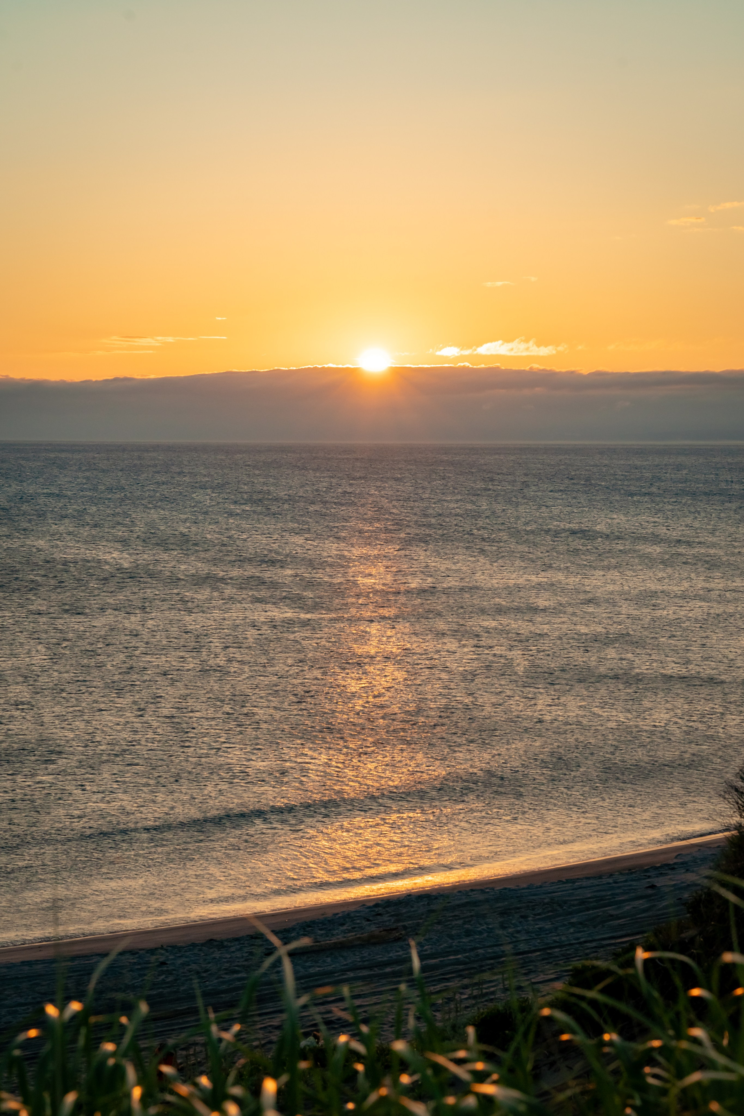 Итуруп. Семейный фотограф Варвара Сорока в городе Москве