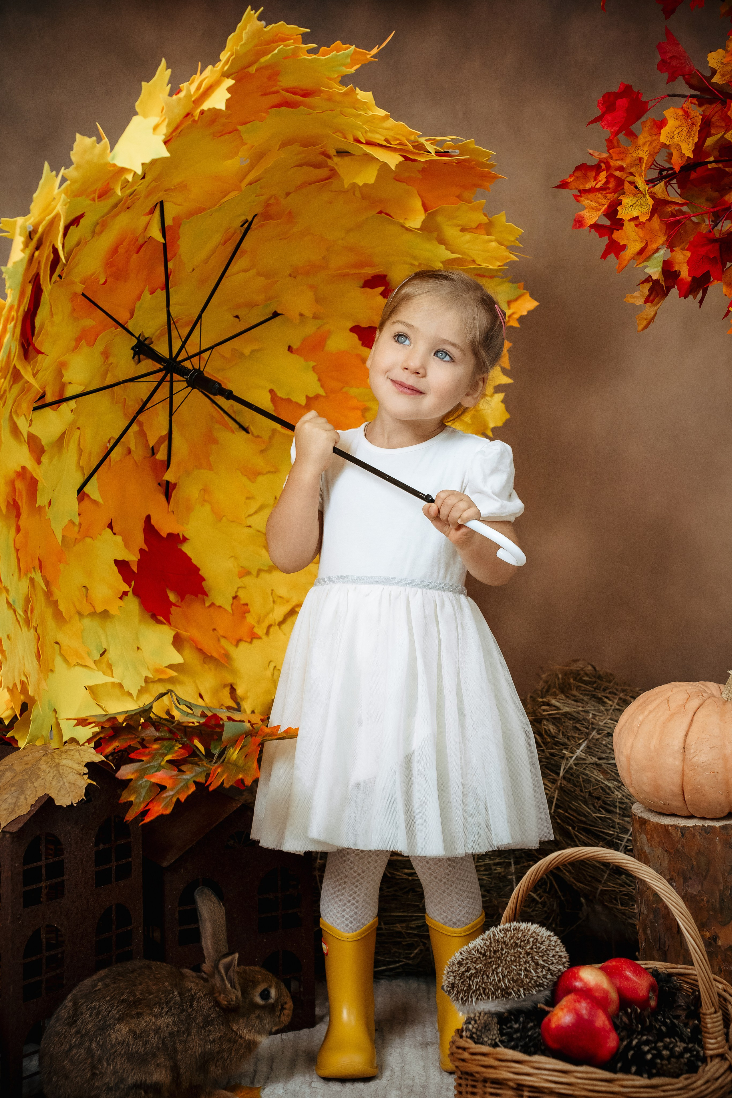 Ёжик. Фотограф Казакова Анастасия