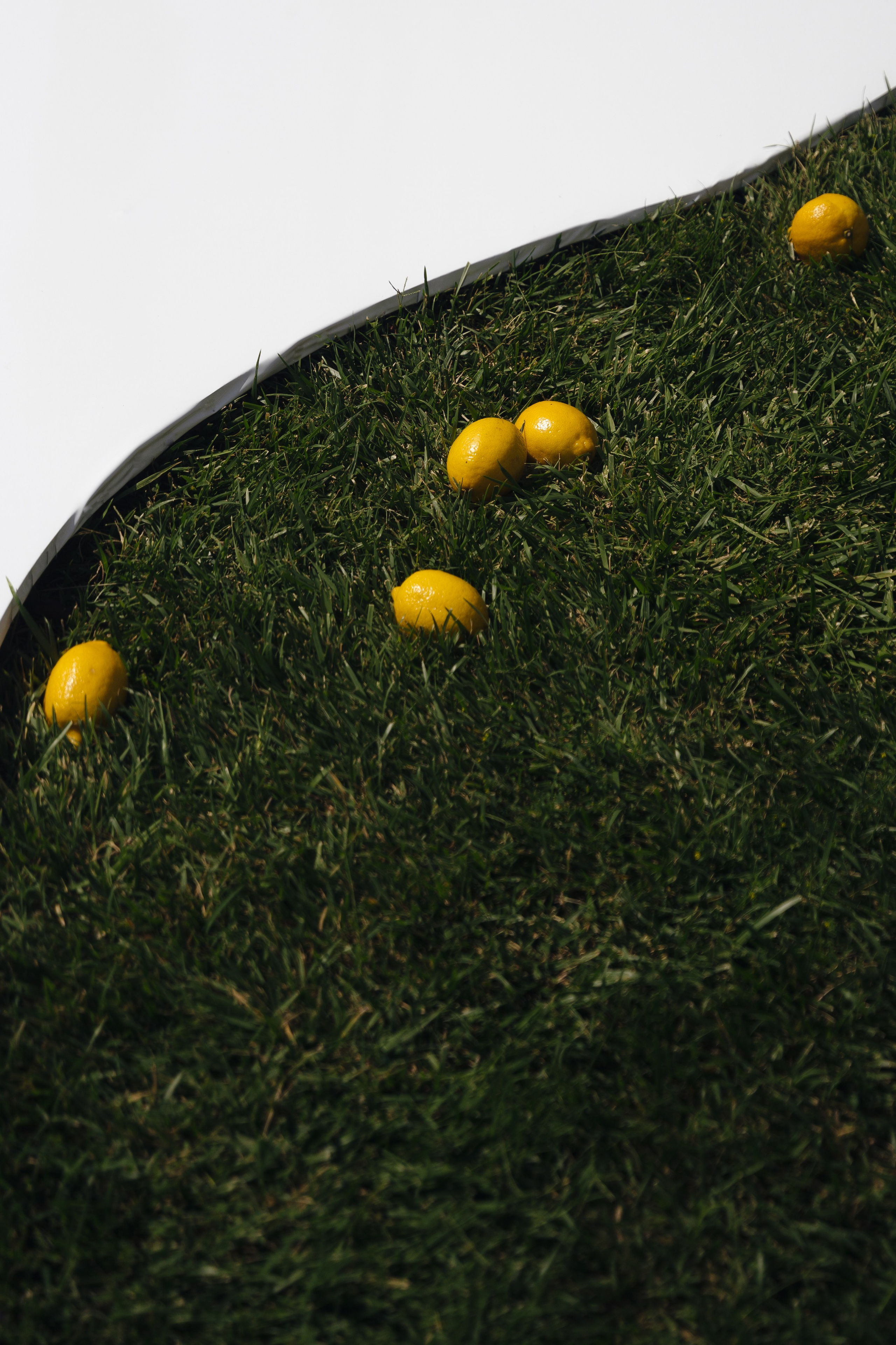 Lemon. Свадебный фотограф Решетников Дмитрий