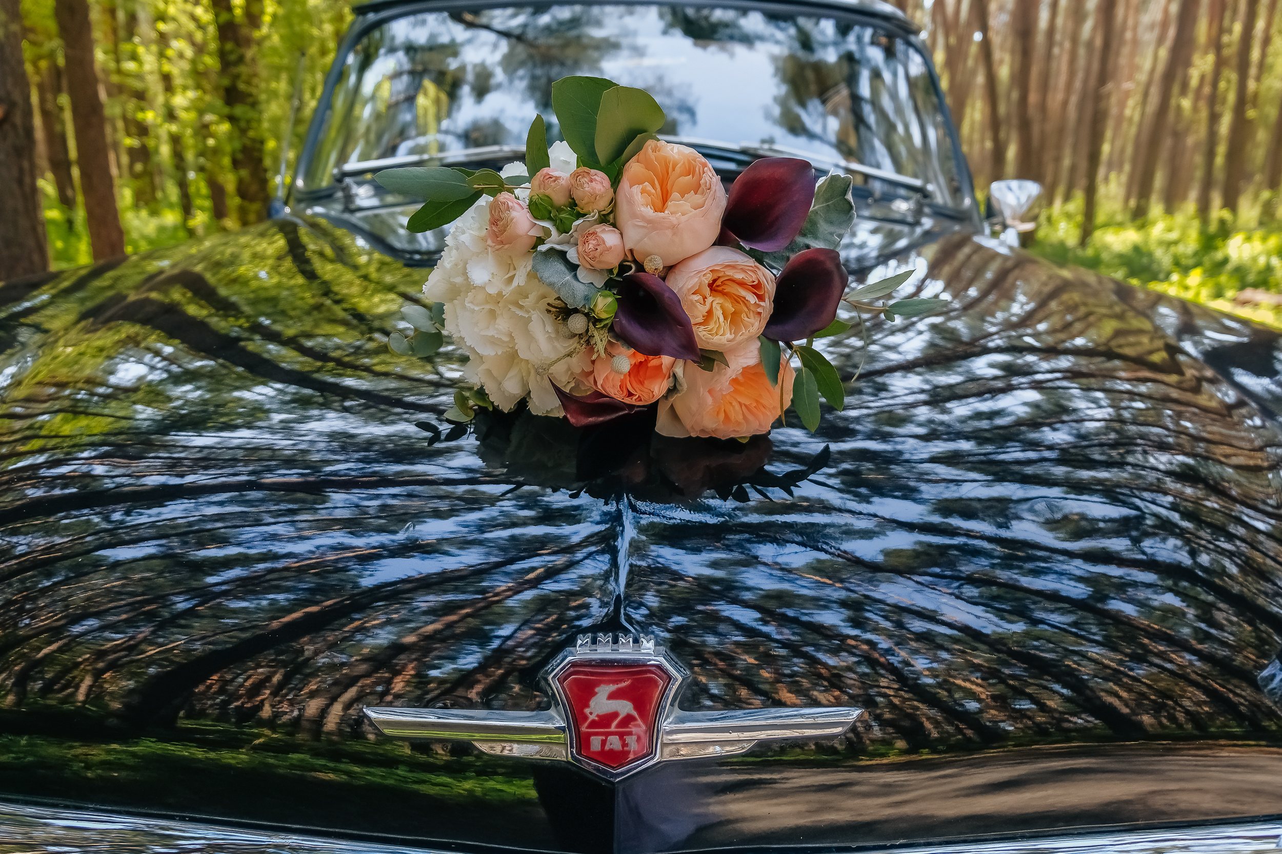 Александра и Юрий. Свадебный и портретный фотограф в Белгороде Павел Яновский