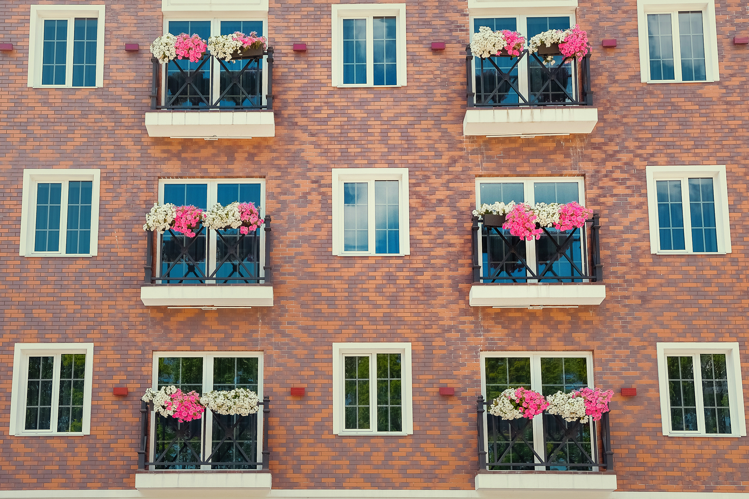 Вера и Владимир. Свадебный и портретный фотограф в Белгороде Павел Яновский