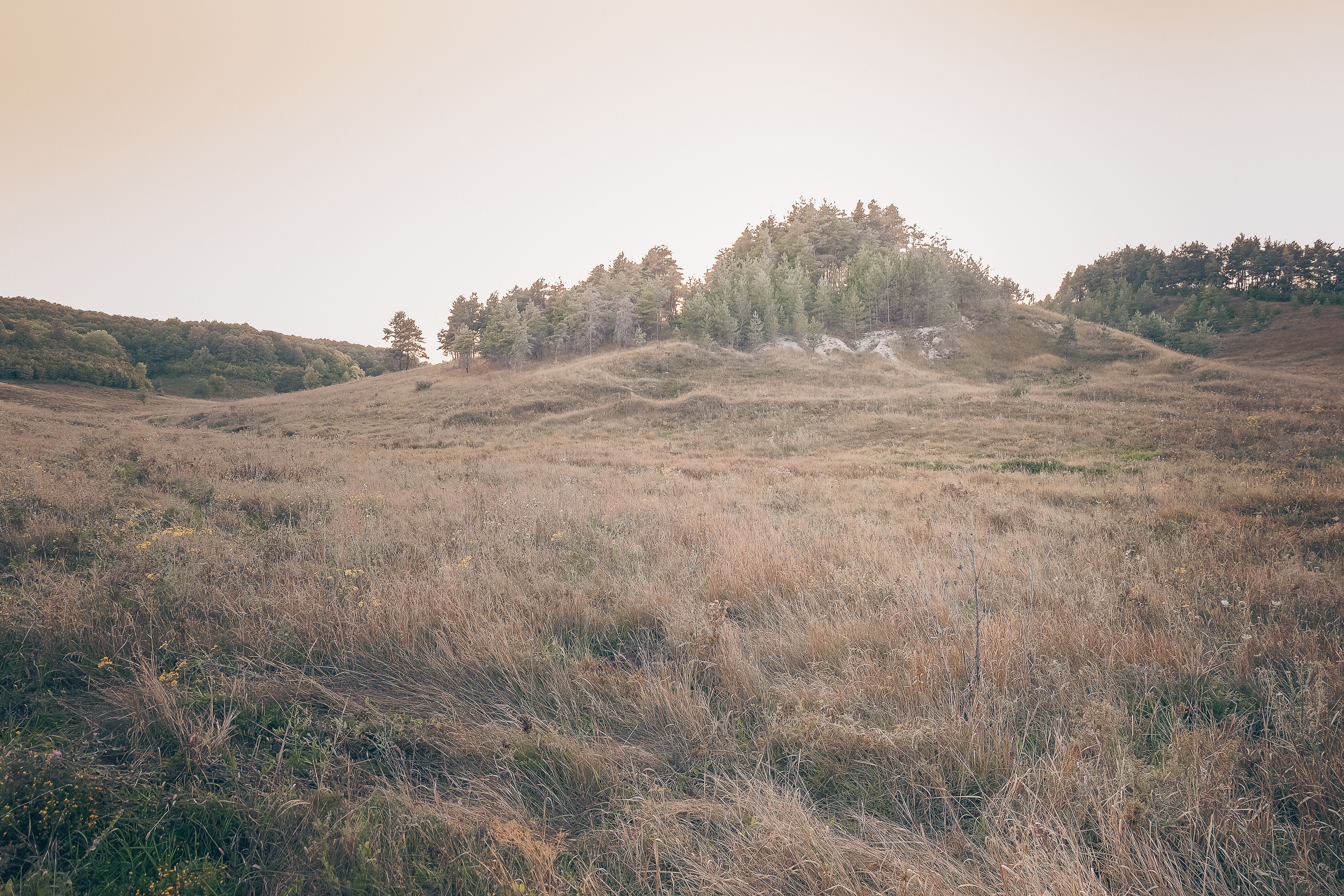 Владислав и Мария. Свадебный и портретный фотограф в Белгороде Павел Яновский