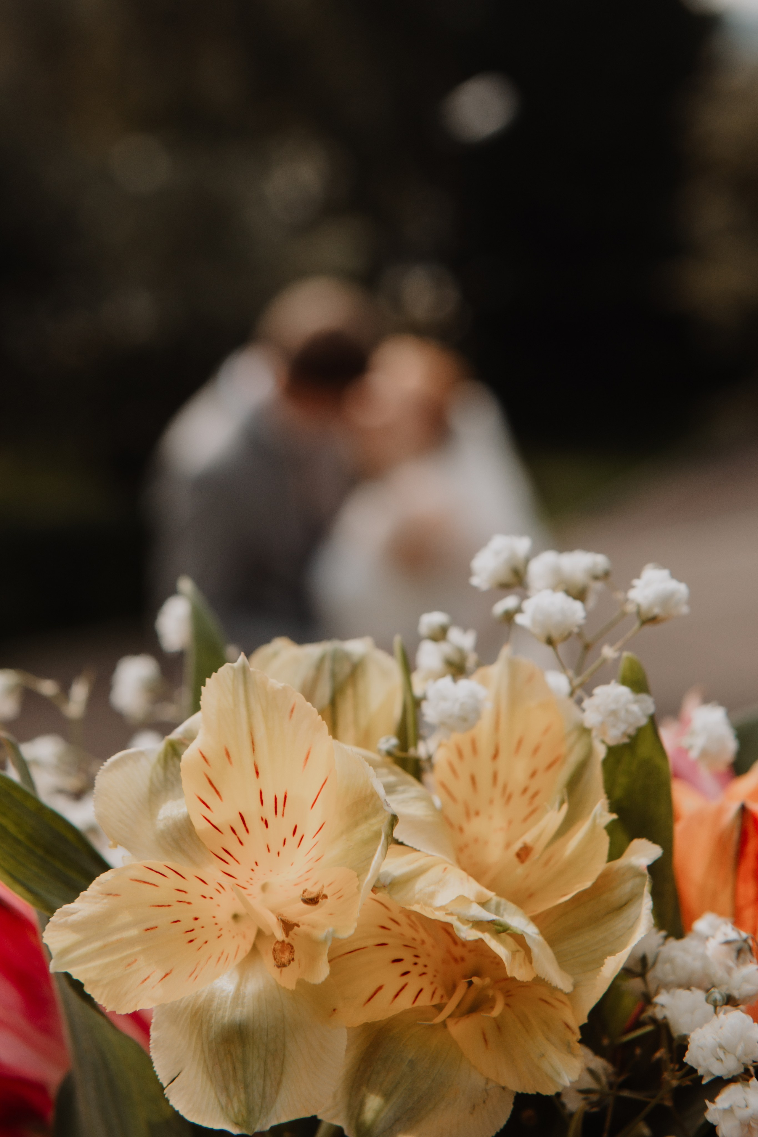 F a m i l y. ProFoto