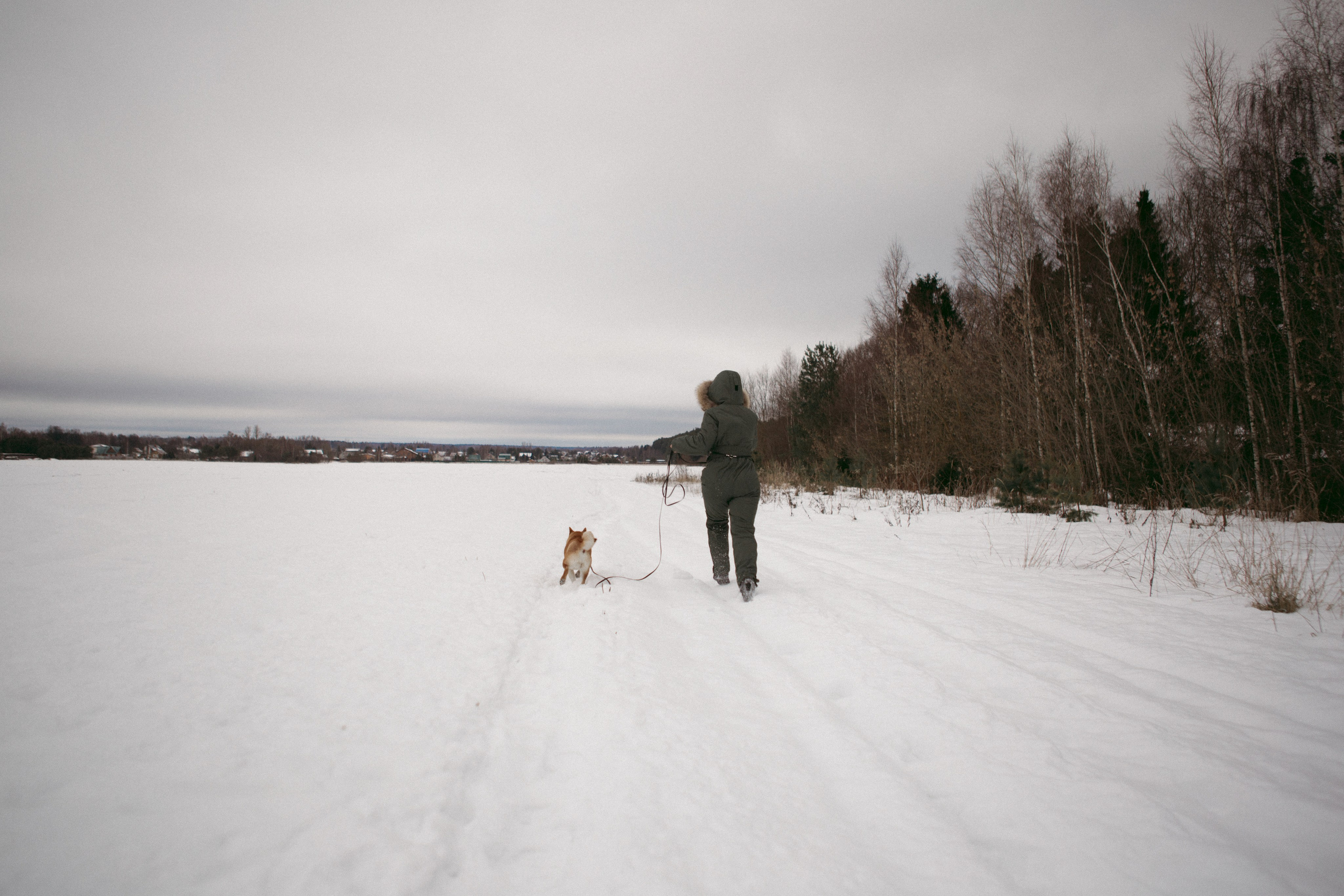 Katya, Dima, Rokki. Portrait, family and pet photographer in Cyprus, Ksenia Bourdelle
