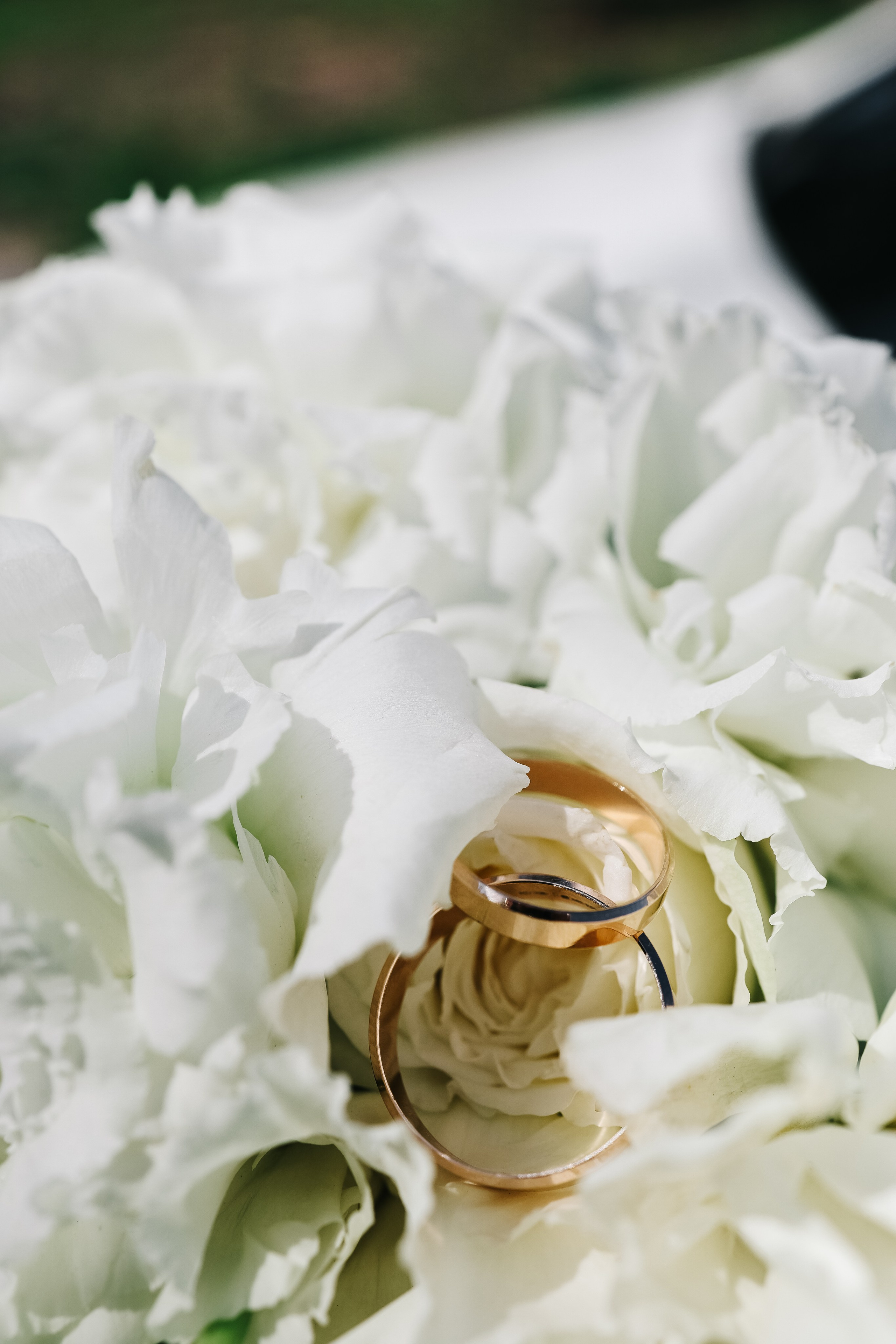 Александра и Денис. Свадебный и семейный фотограф в Воронеже Ксения Воротникова