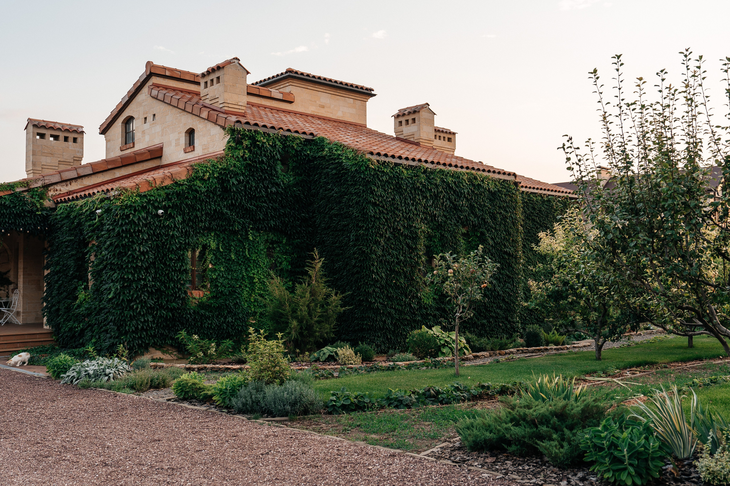 Роман & Вероника. Lokos.pro Ник Соколов Фото и Видео Москва/Ростов-на-Дону