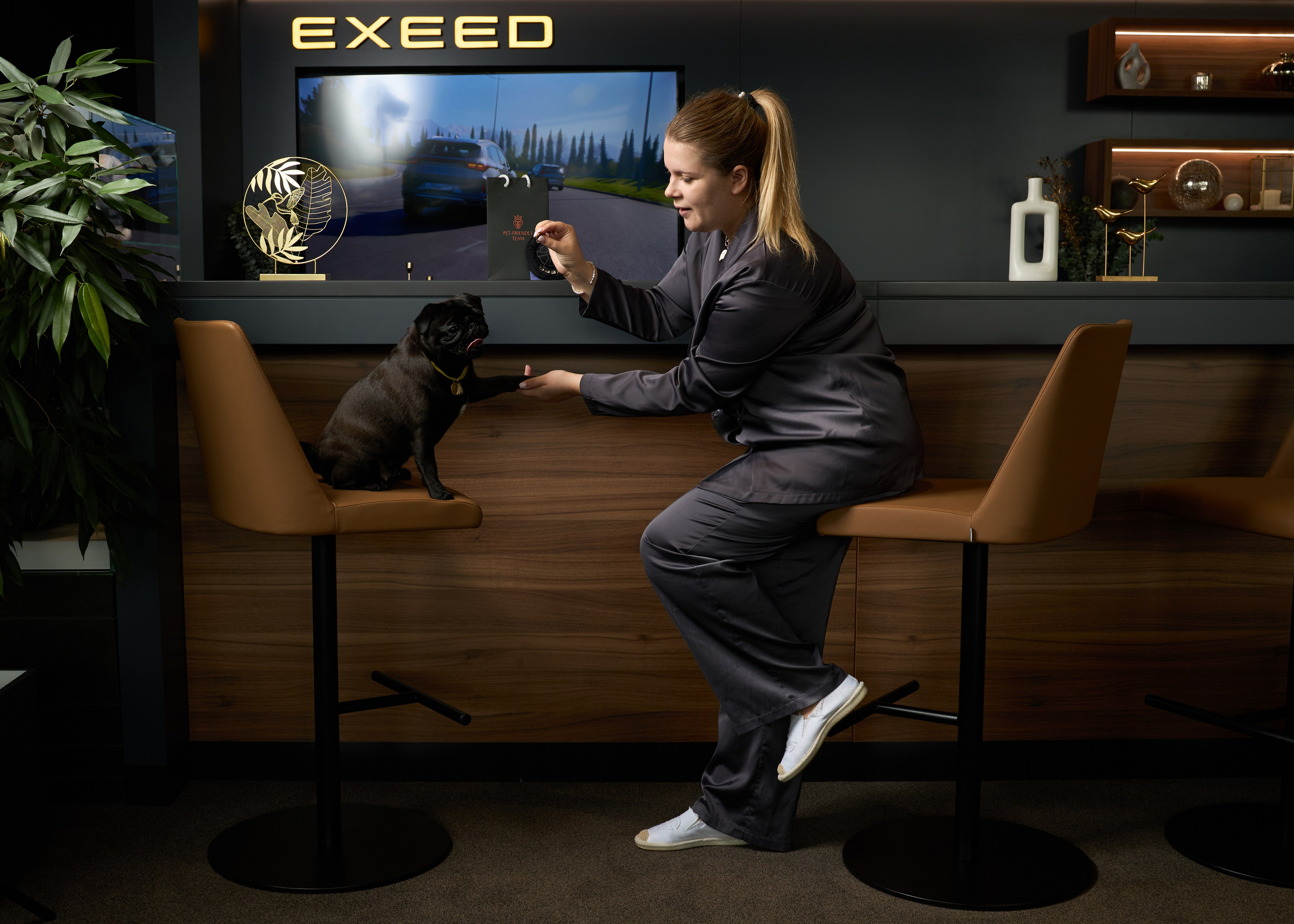 Exeed Pet friendly. Фотограф Михаил Стенин