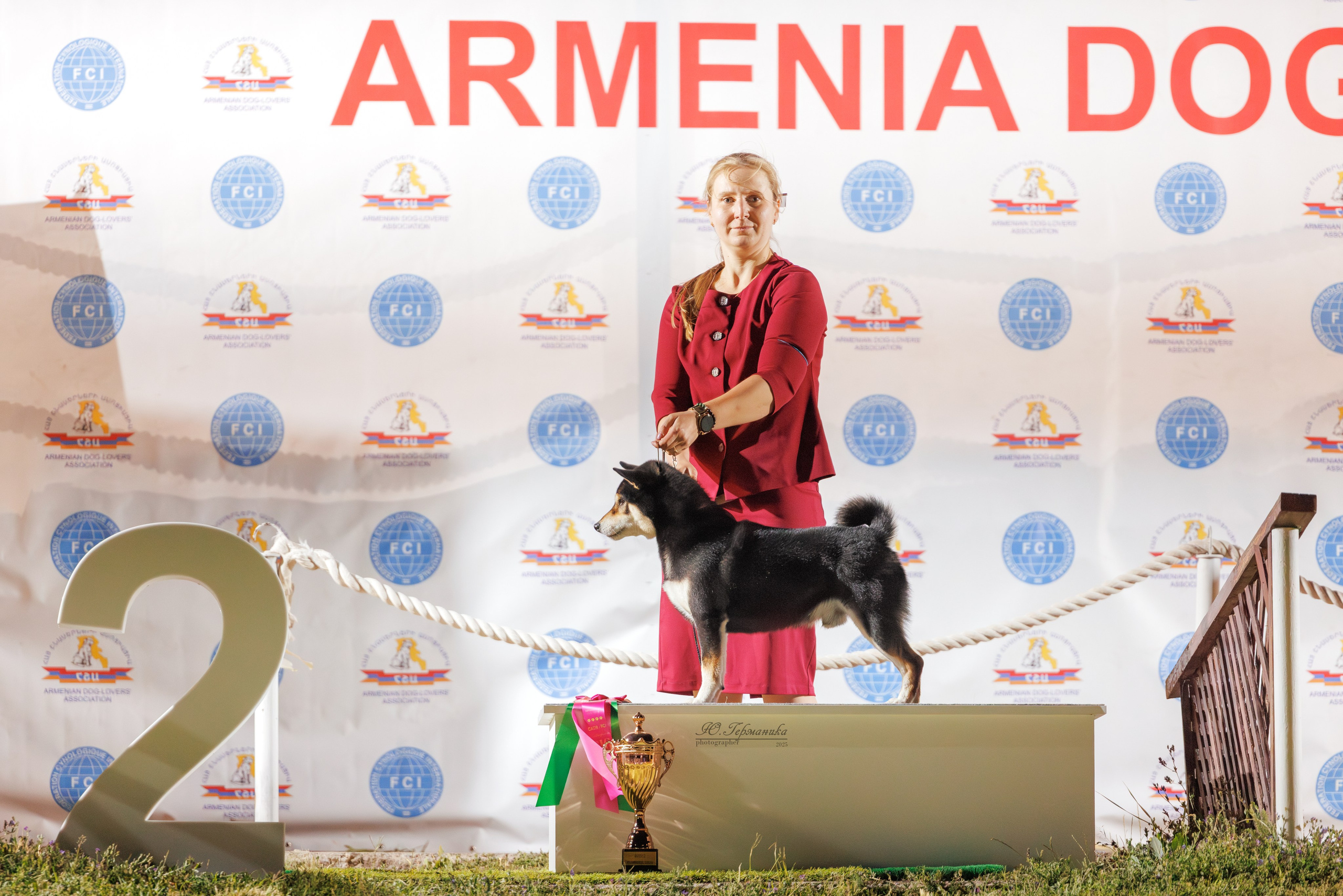 Ереван 3хCACIB 23-25.06.2025. Фотограф-анималист Юлия Германика