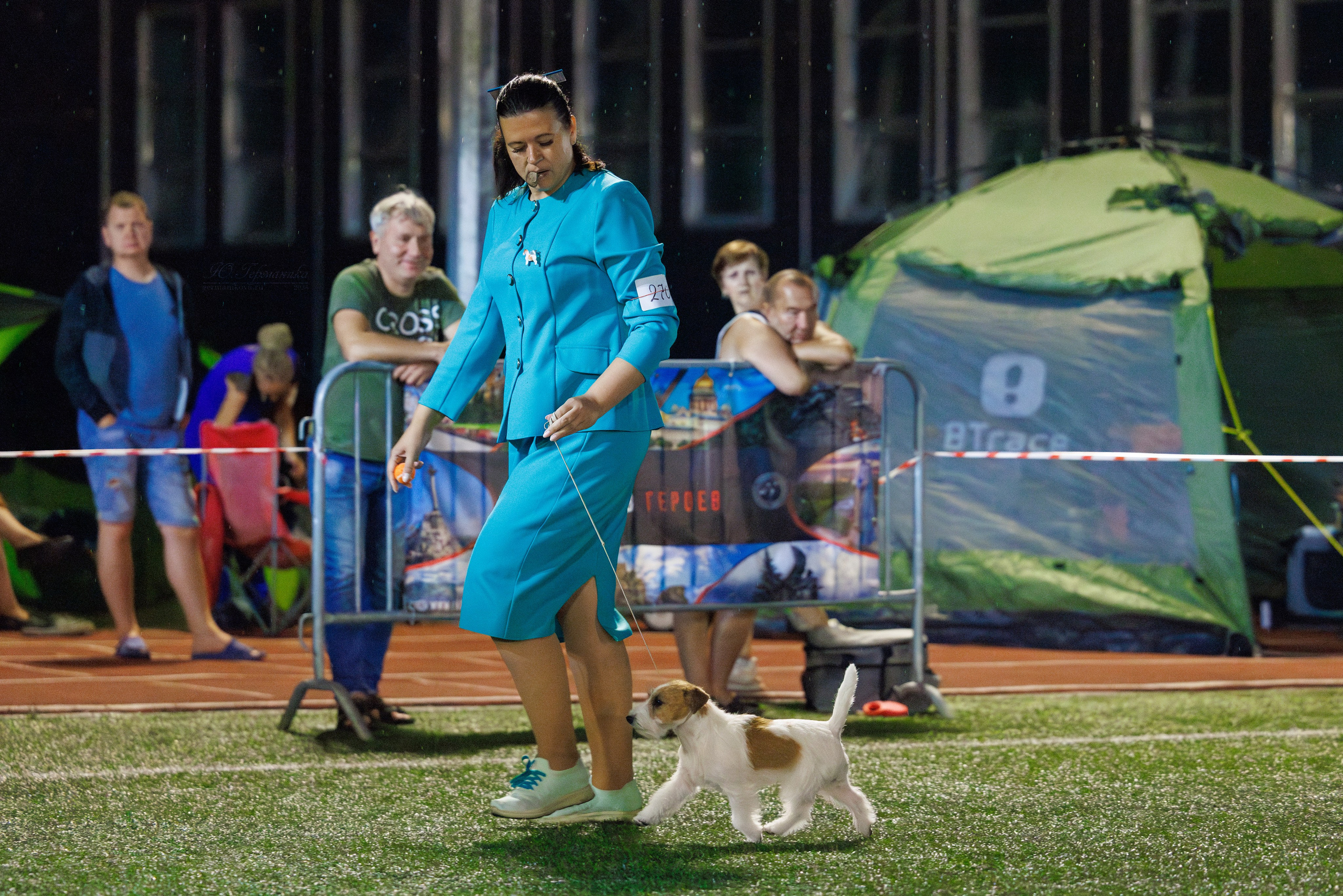 Волгоград 2-4.08.2024. Фотограф-анималист Юлия Германика