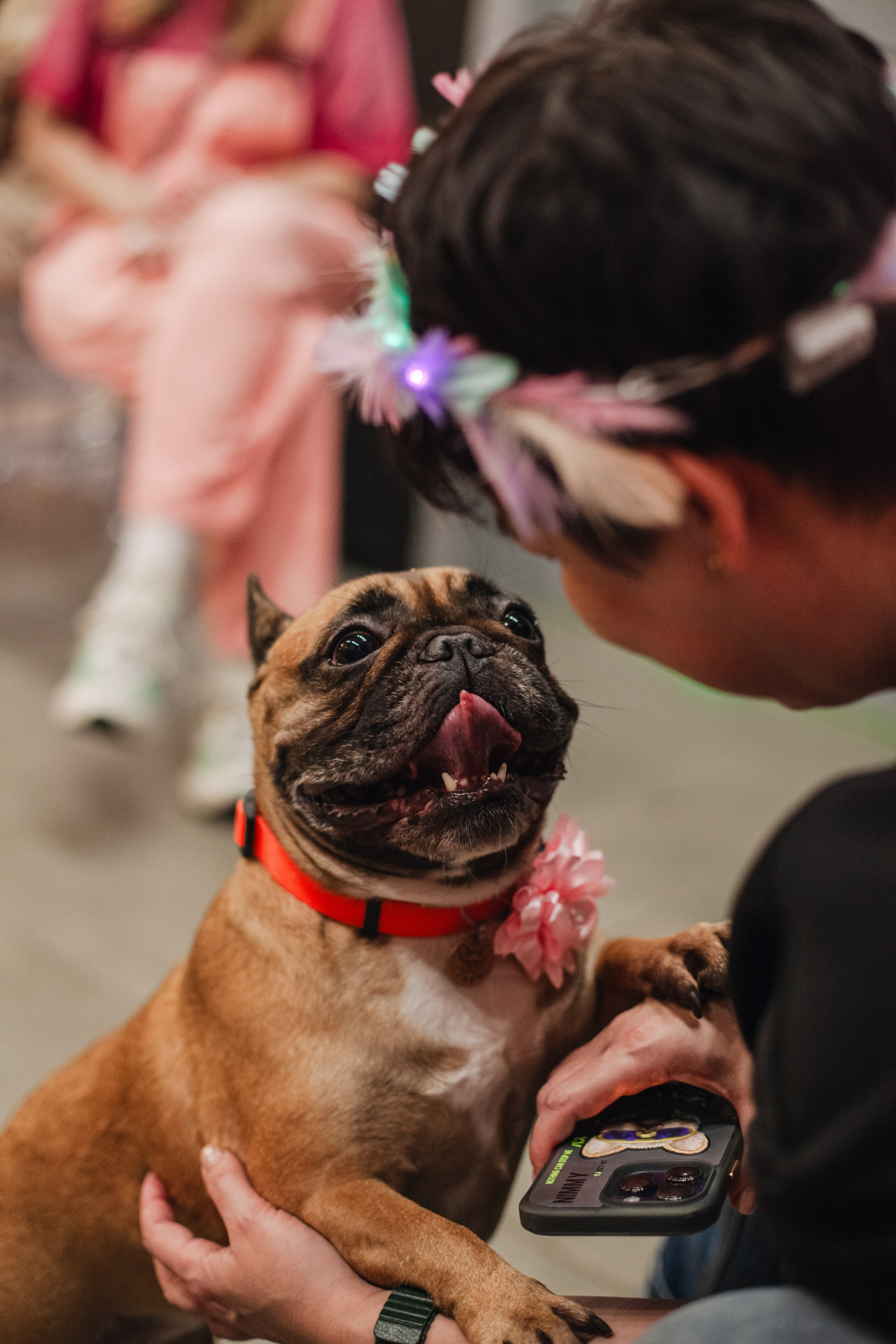 Бульёлка 2024. Фотограф-анималист Татьяна Степанова