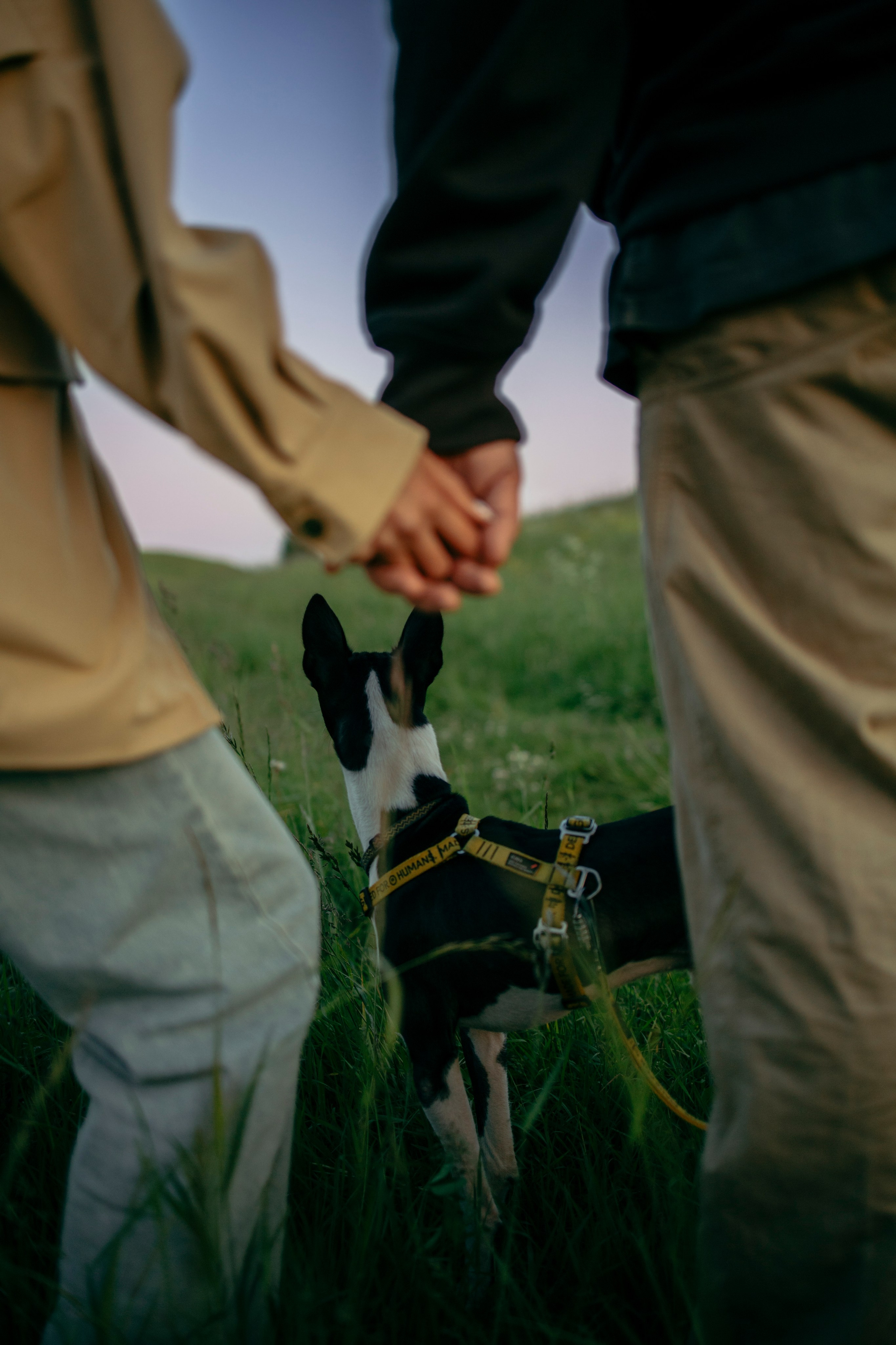 Итачи и его семья 🐾. Фотограф-анималист в Санкт-Петеребурге Титова Алиса