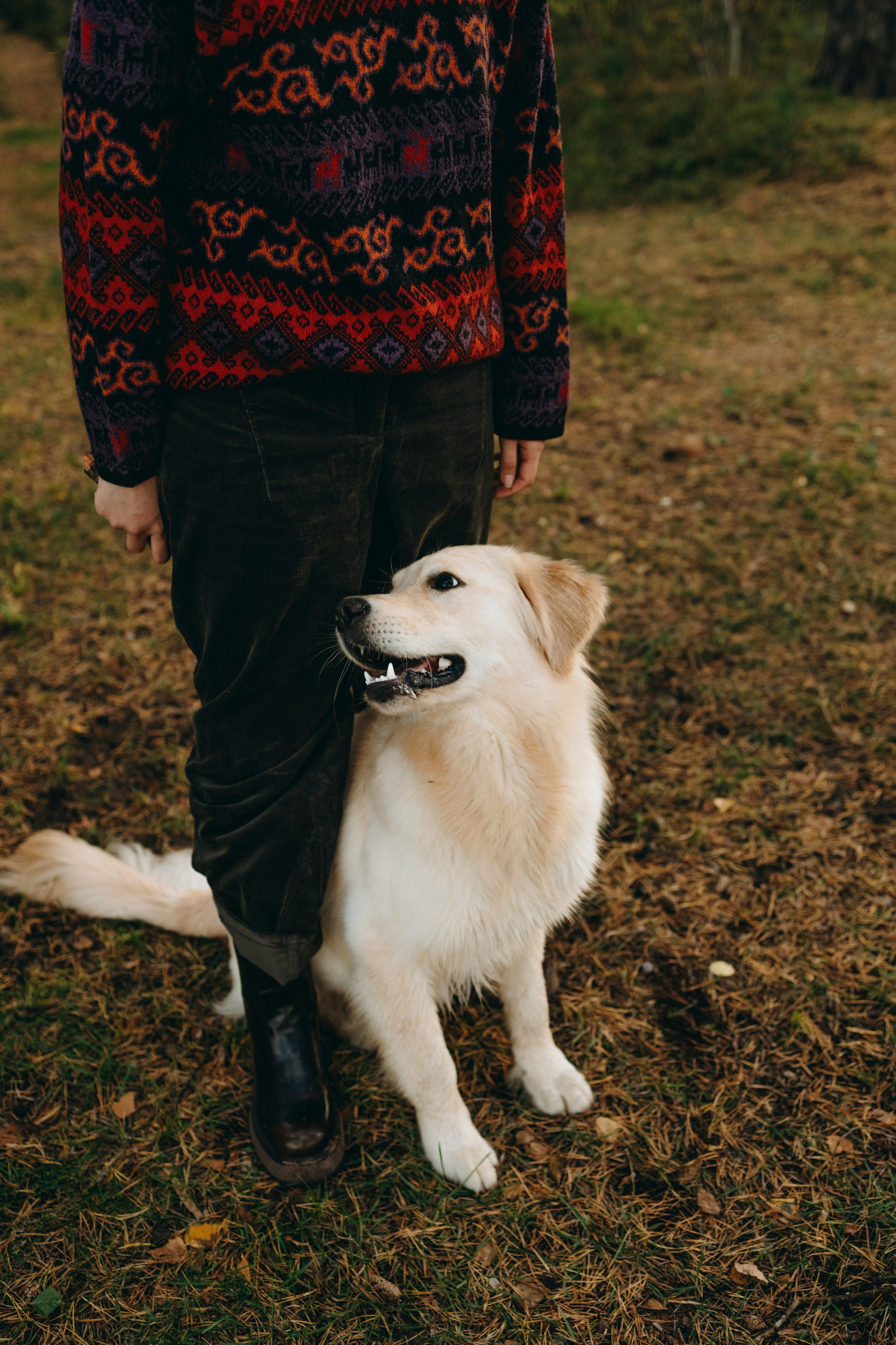 Прогулка Насти с Арчи и Арагоном. Фотограф-анималист в Санкт-Петеребурге Титова Алиса