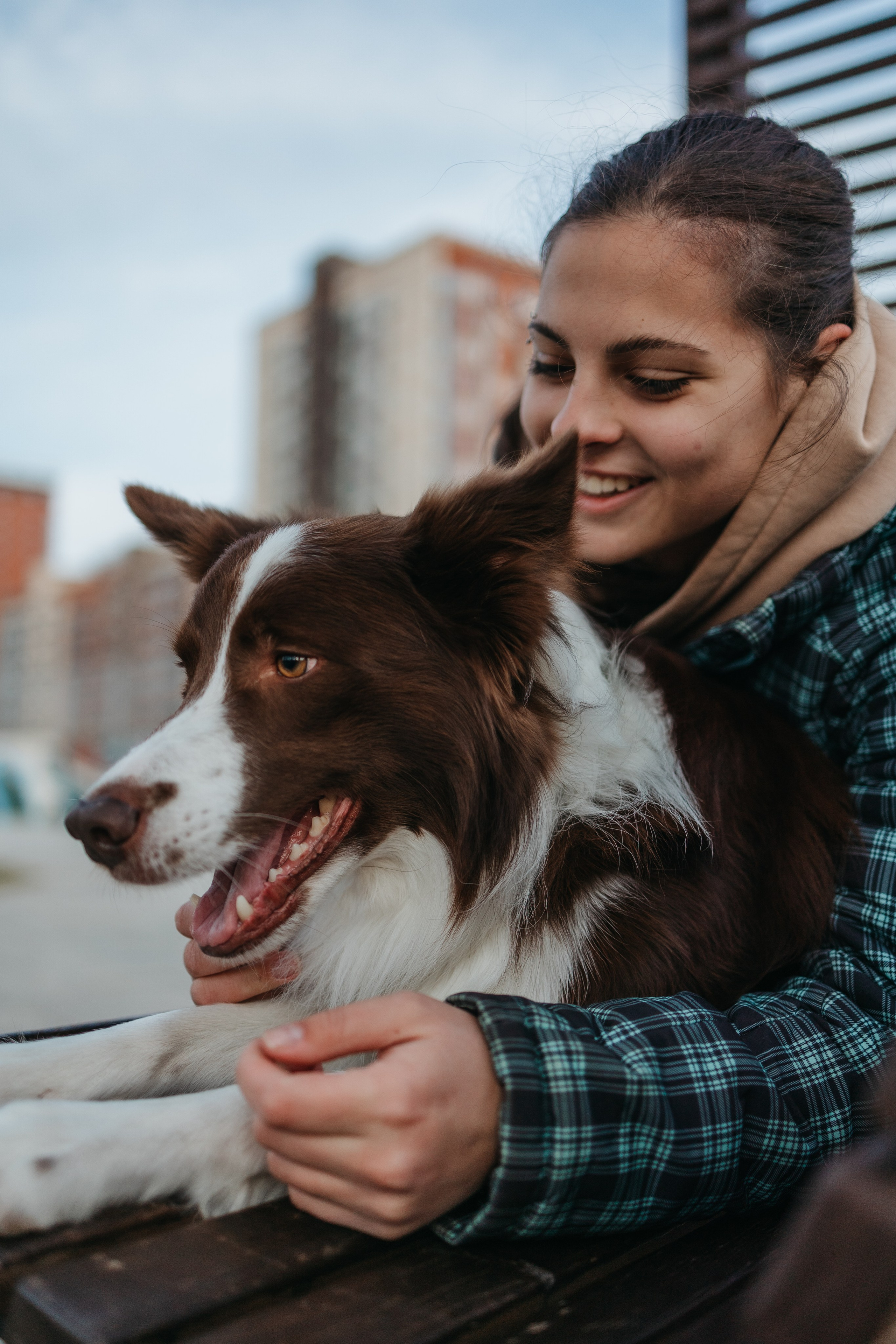 Маша и Тори. Фотограф — анималист Светлана Кысса|фотограф собак в Краснодаре и Нижнем Новгороде
