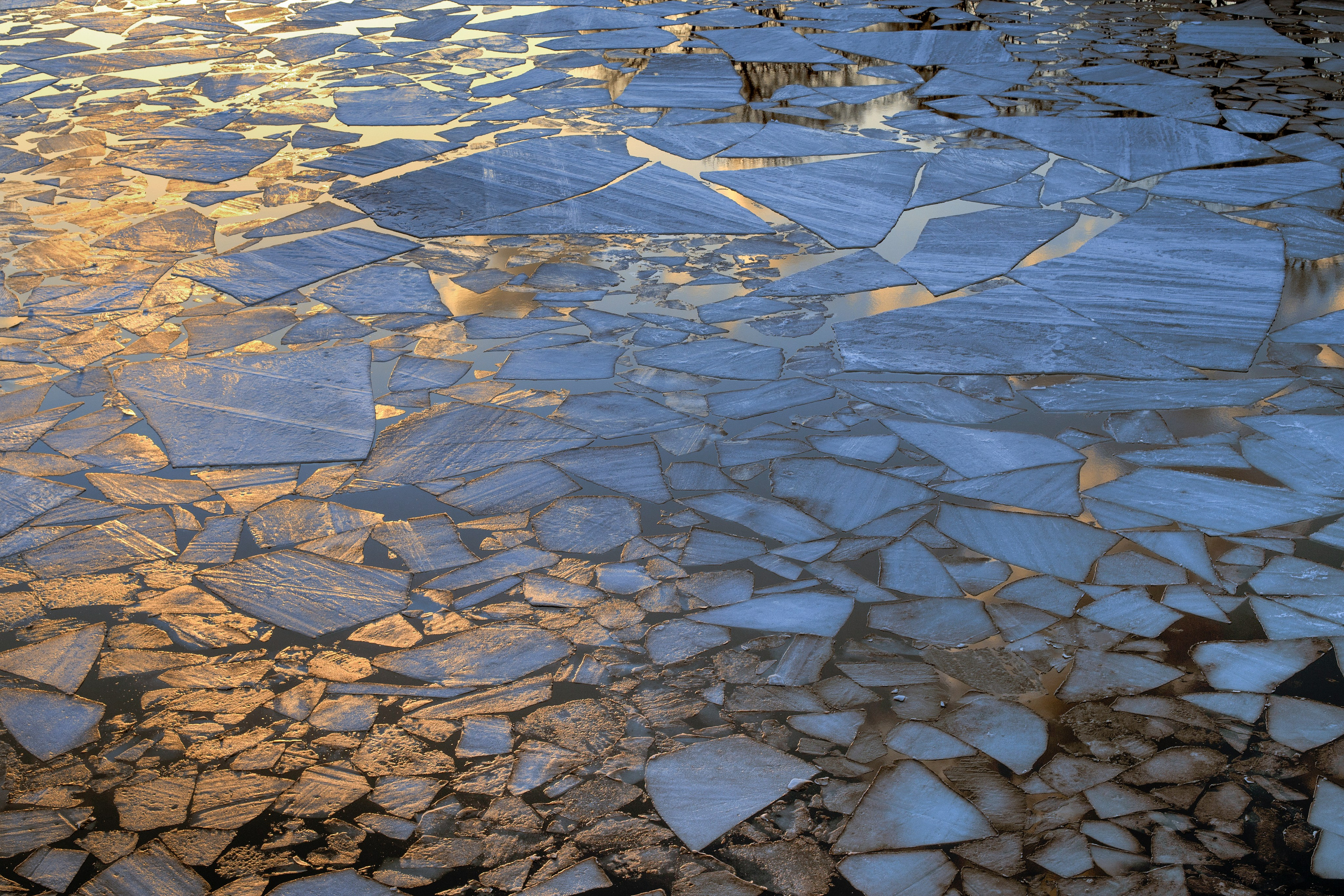 Фото. Фотограф Лагутин Анатолий