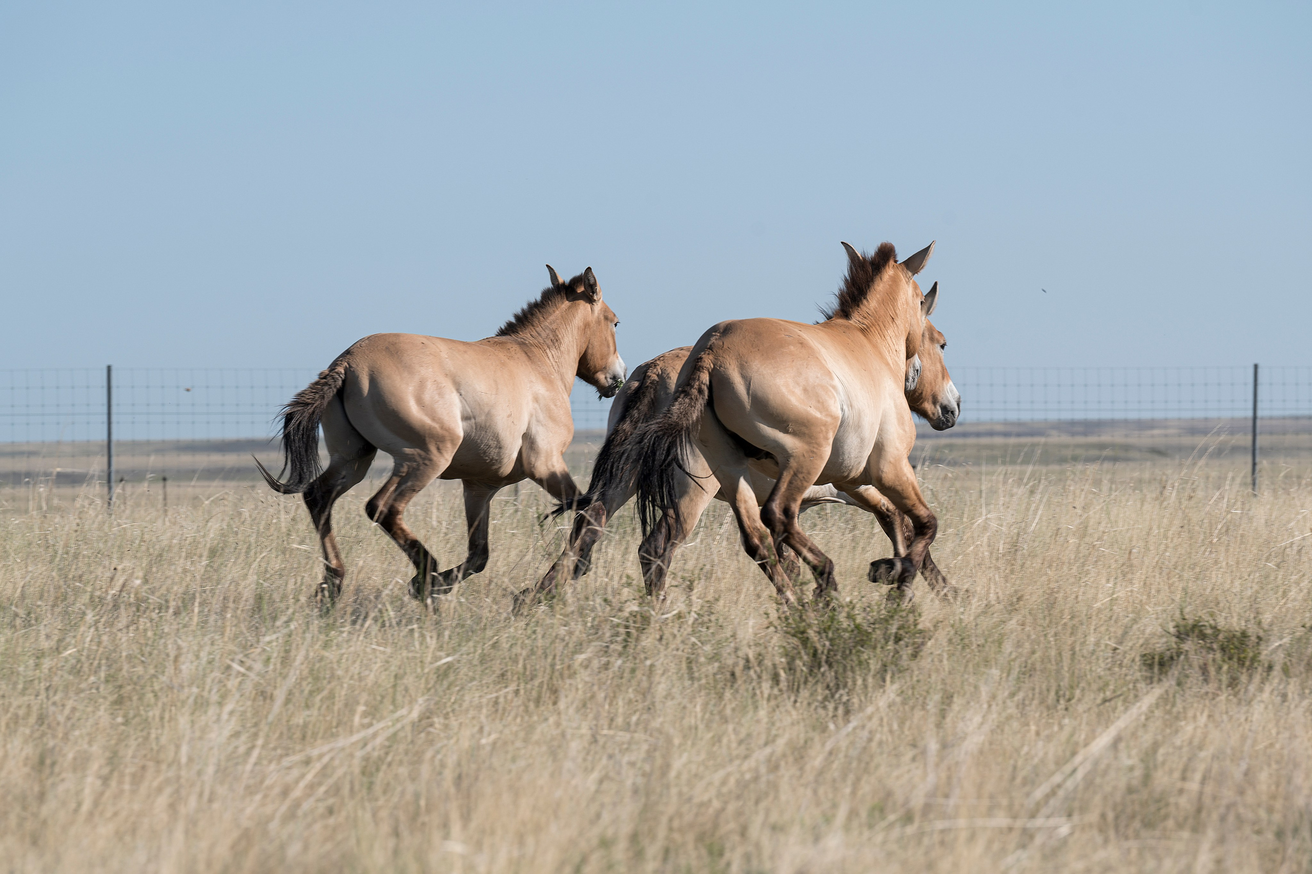 Оренбуржье. Портретный фотограф в Челябинске Катерина Руди
