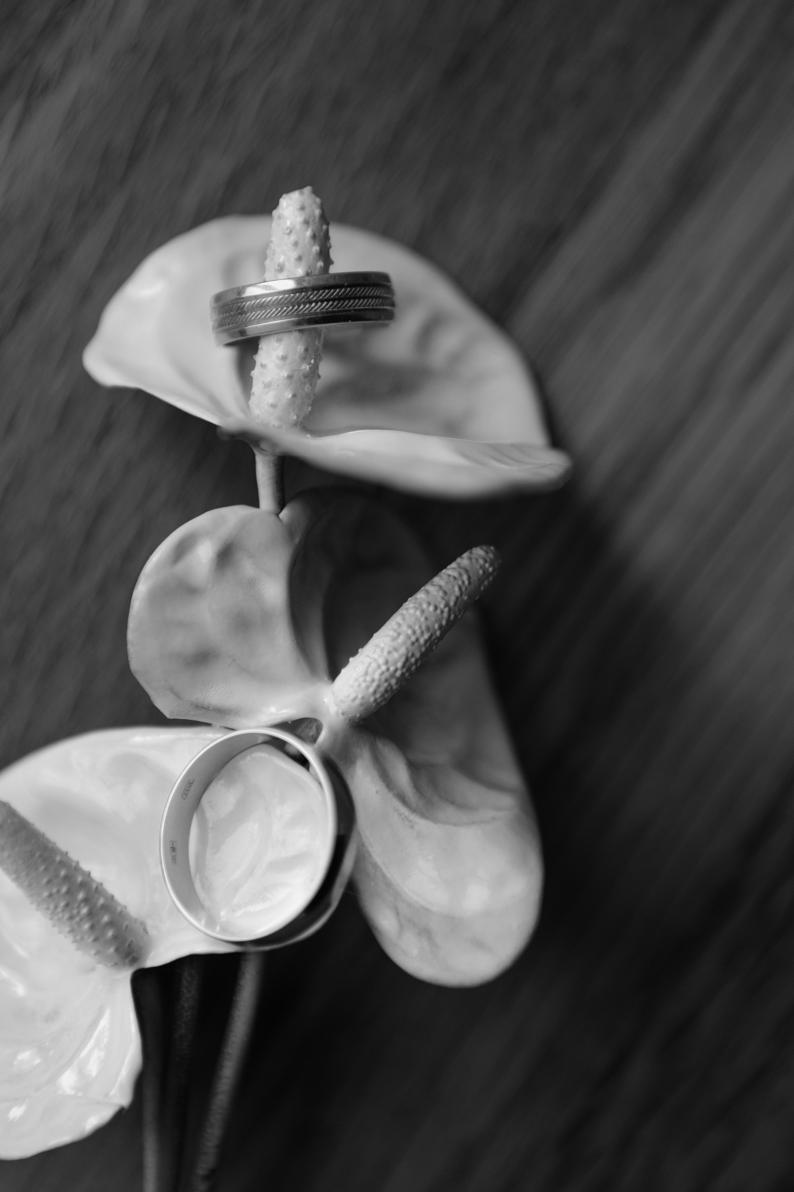 Свадьба Даниила и Ольги. Фотограф Кольчугино/Владимир/Москва Елизавета Иода