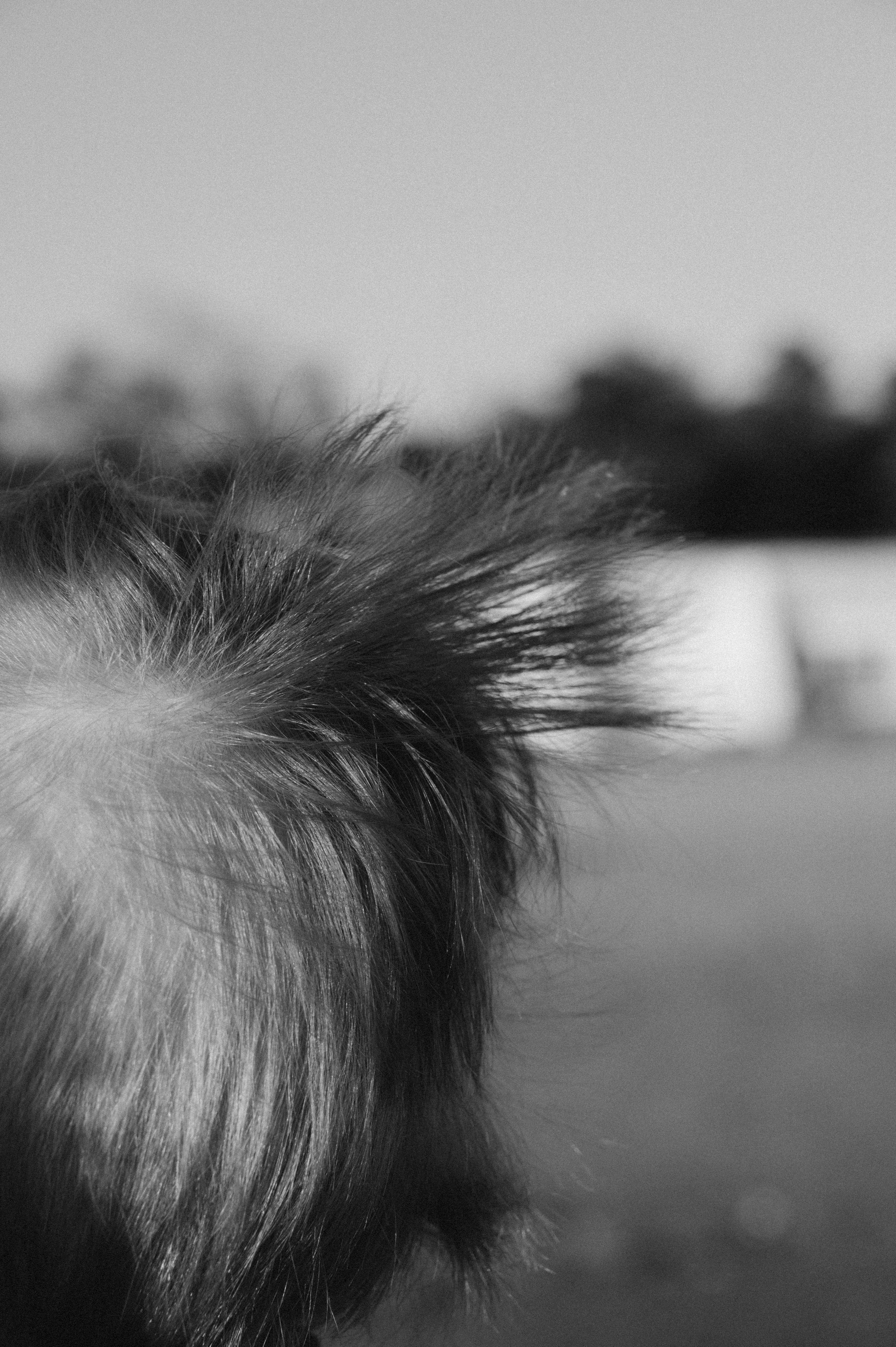Алина. Профессиональный фотограф беременности в СПБ. Стильные фотосессии беременности в стиле минимализм и классическая фотография