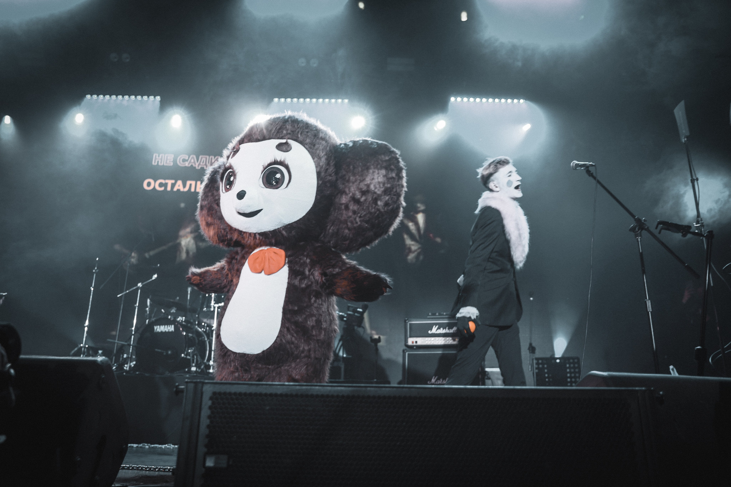 Концертные съемки