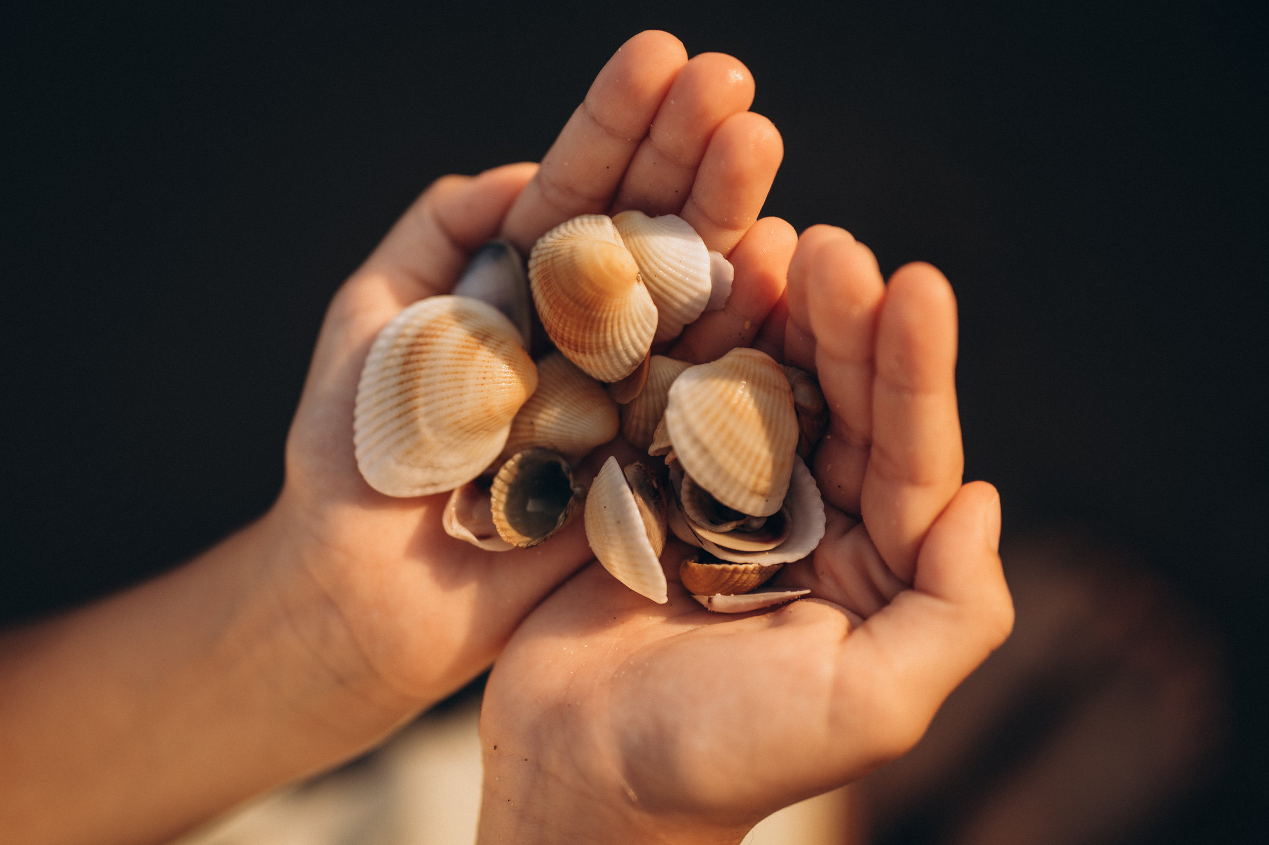 4й день отпуска)). Фотограф Горбенко Анна