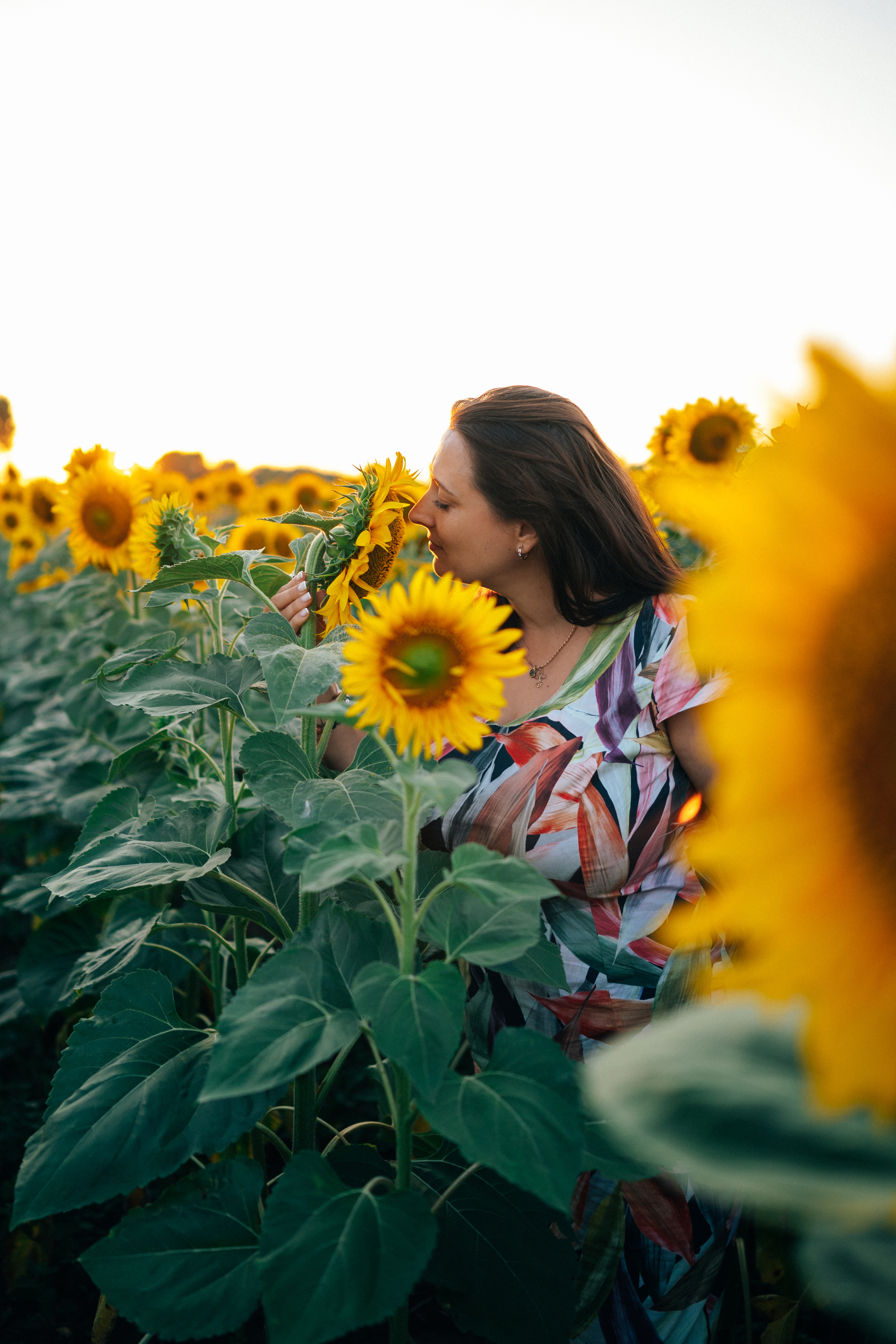 Подсолнухи. Фотограф Горбенко Анна