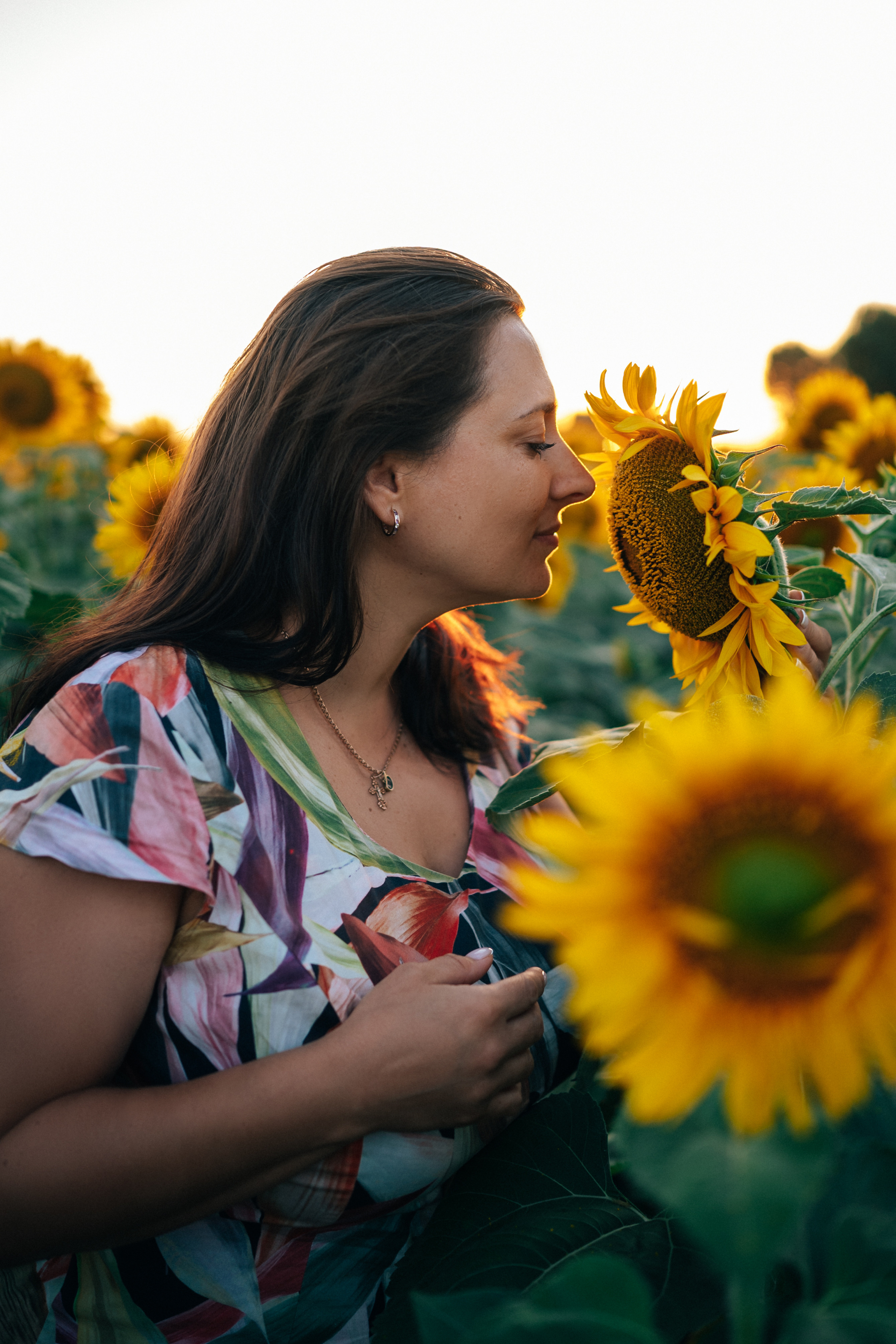 Подсолнухи. Фотограф Горбенко Анна