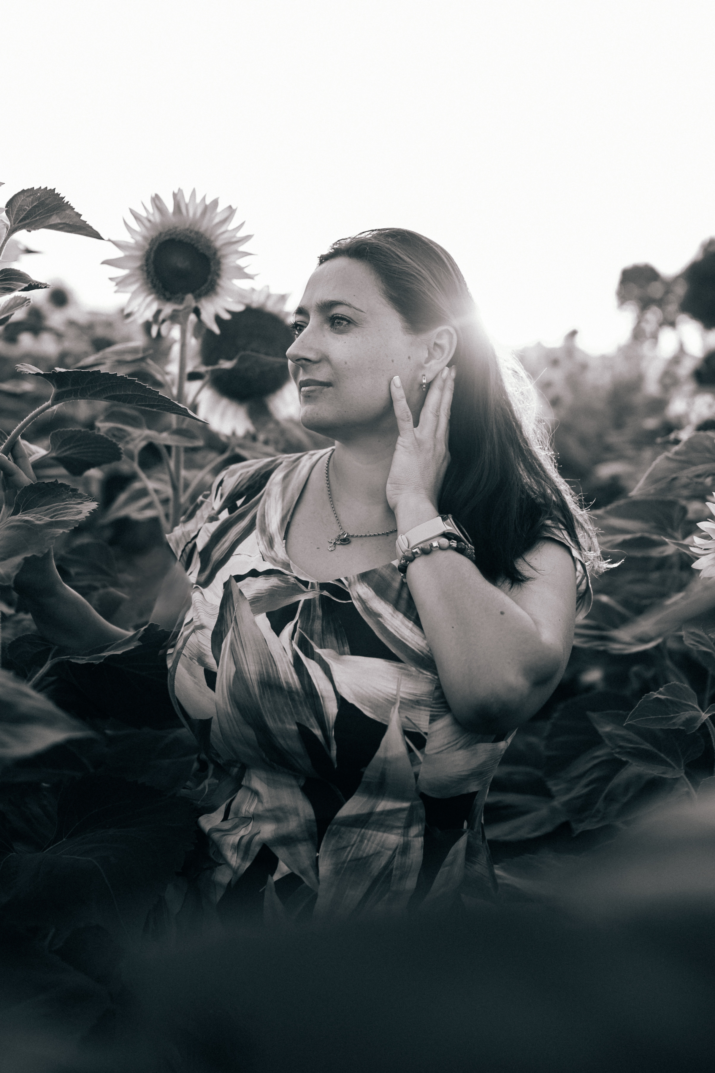 Подсолнухи. Фотограф Горбенко Анна