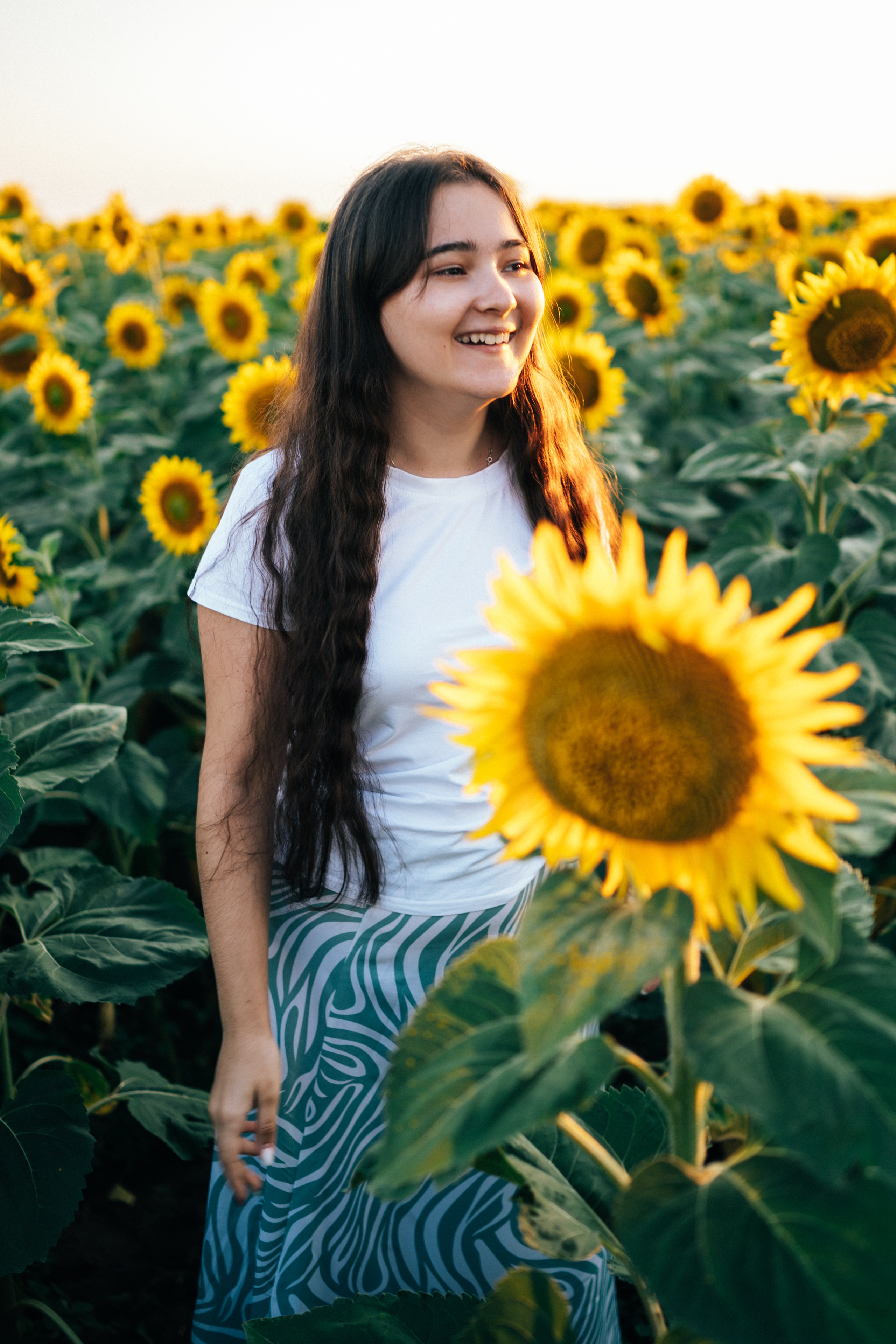 Подсолнухи. Фотограф Горбенко Анна