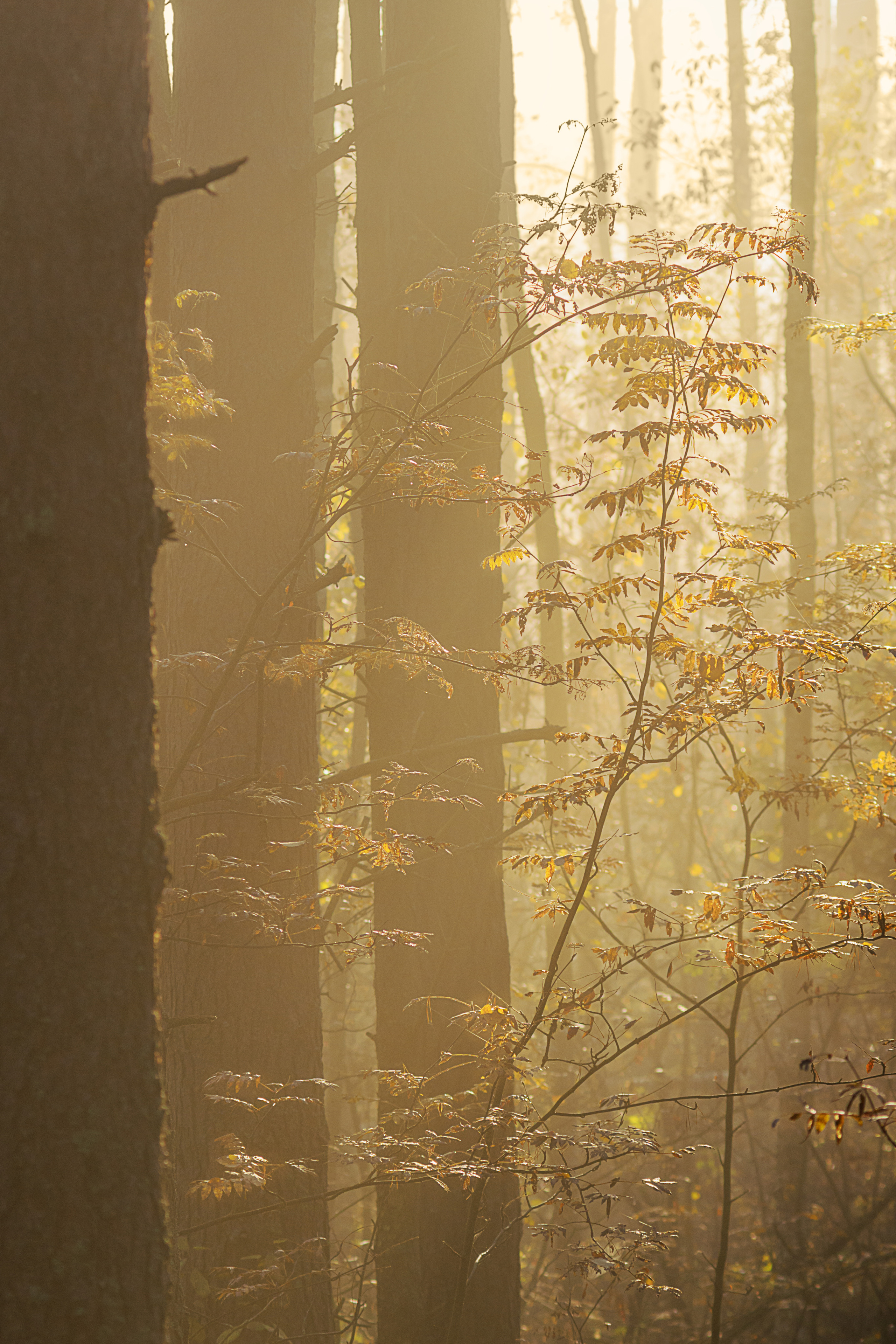 Россия разная. Елена Лебедева. Фотограф