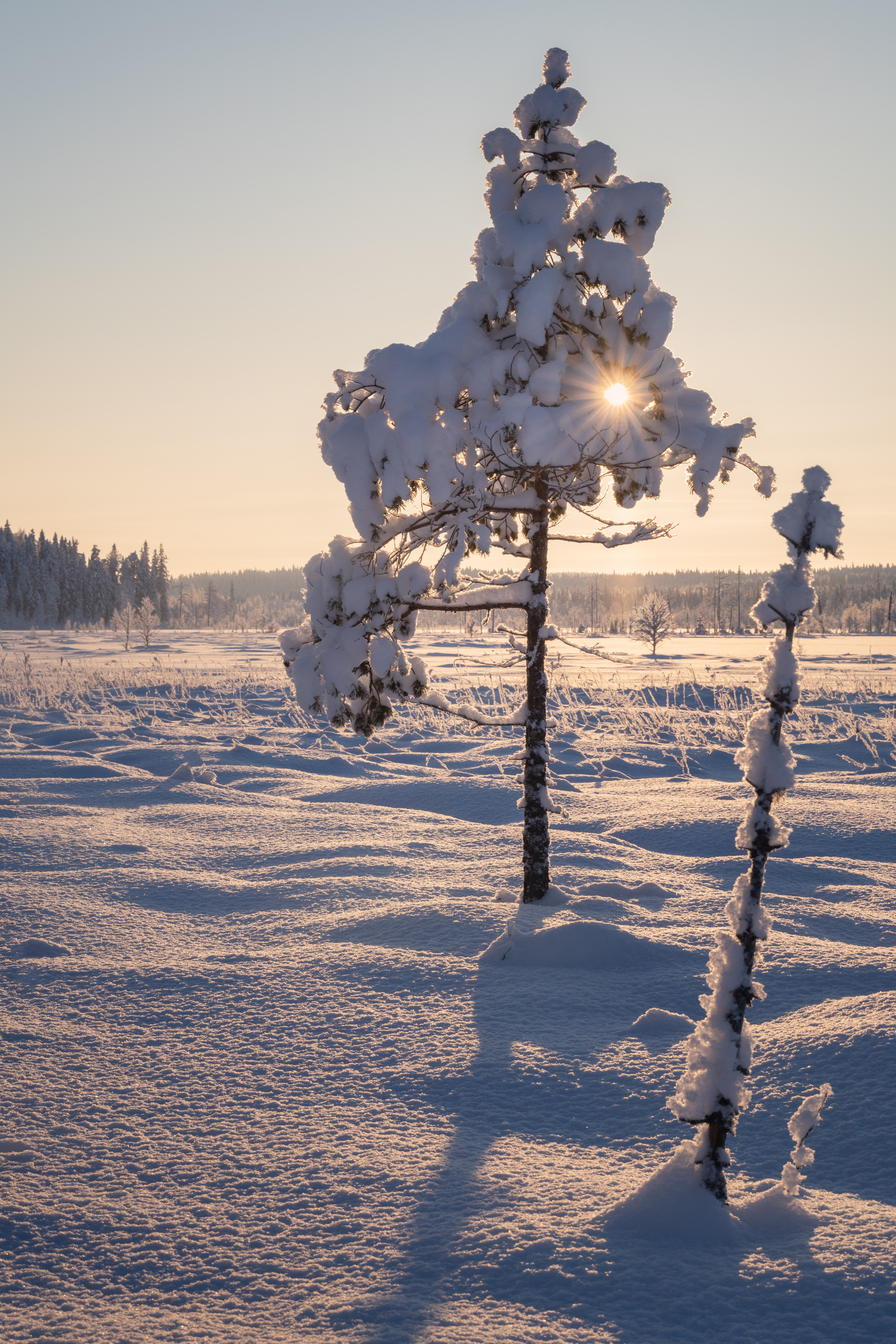 Республика Карелия. Елена Лебедева. Фотограф