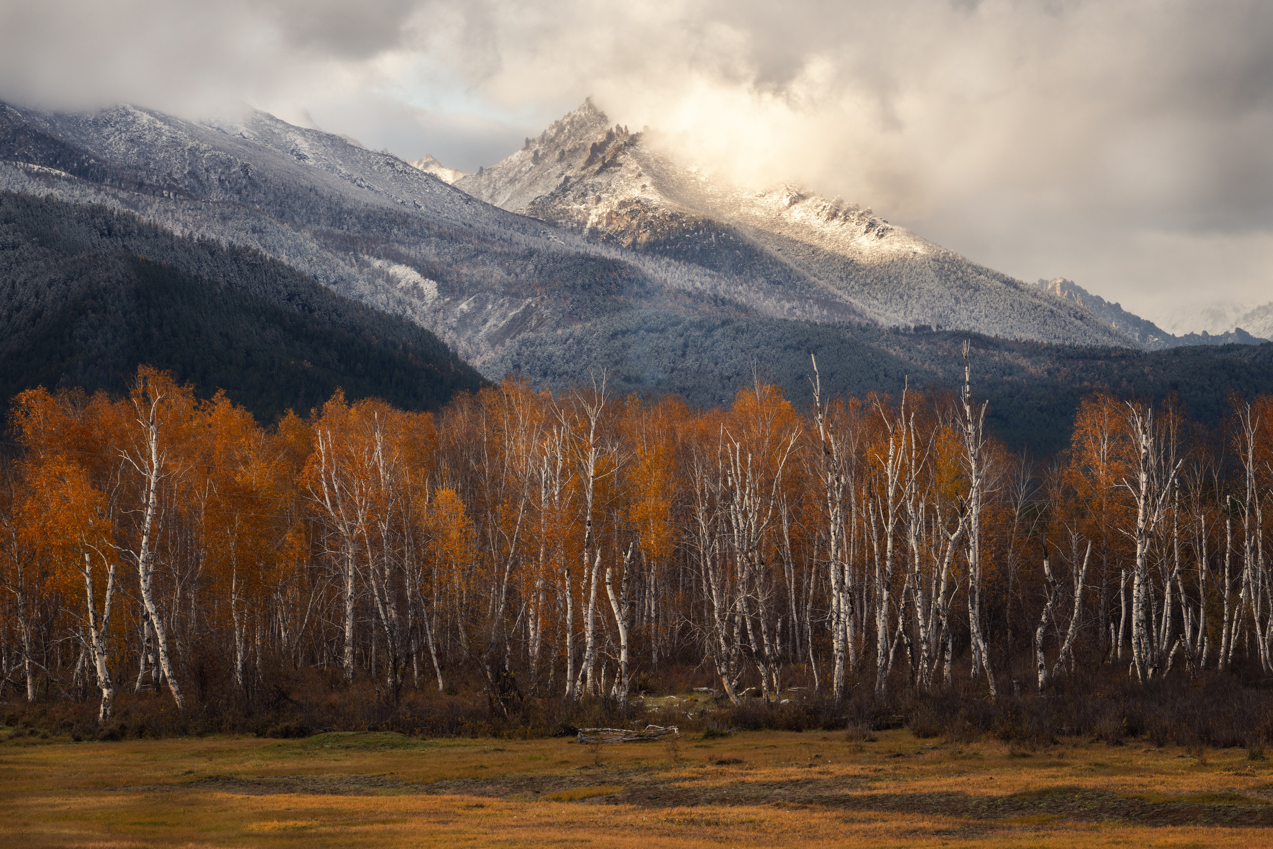 Autumn dress. Kurumkansky district, the Republic of Buryatia, Russia.