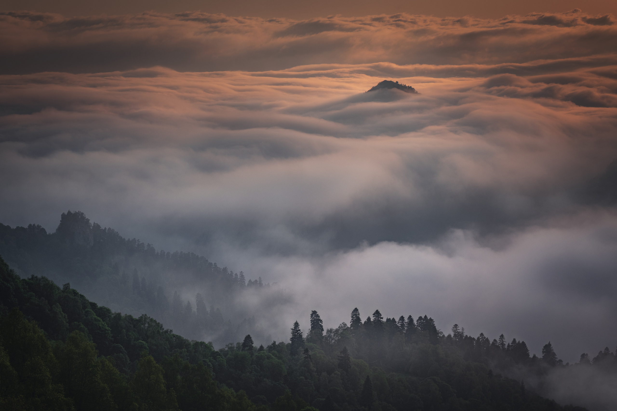Кавказ. Елена Лебедева. Фотограф