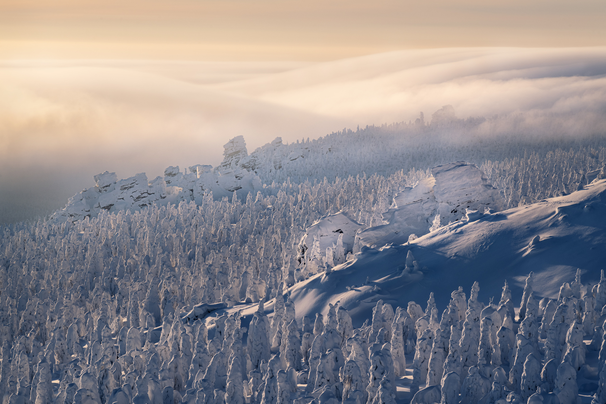 Surrounded in the mist. The Kolchim Stone, Krasnovishersk, Perm krai, Russia.