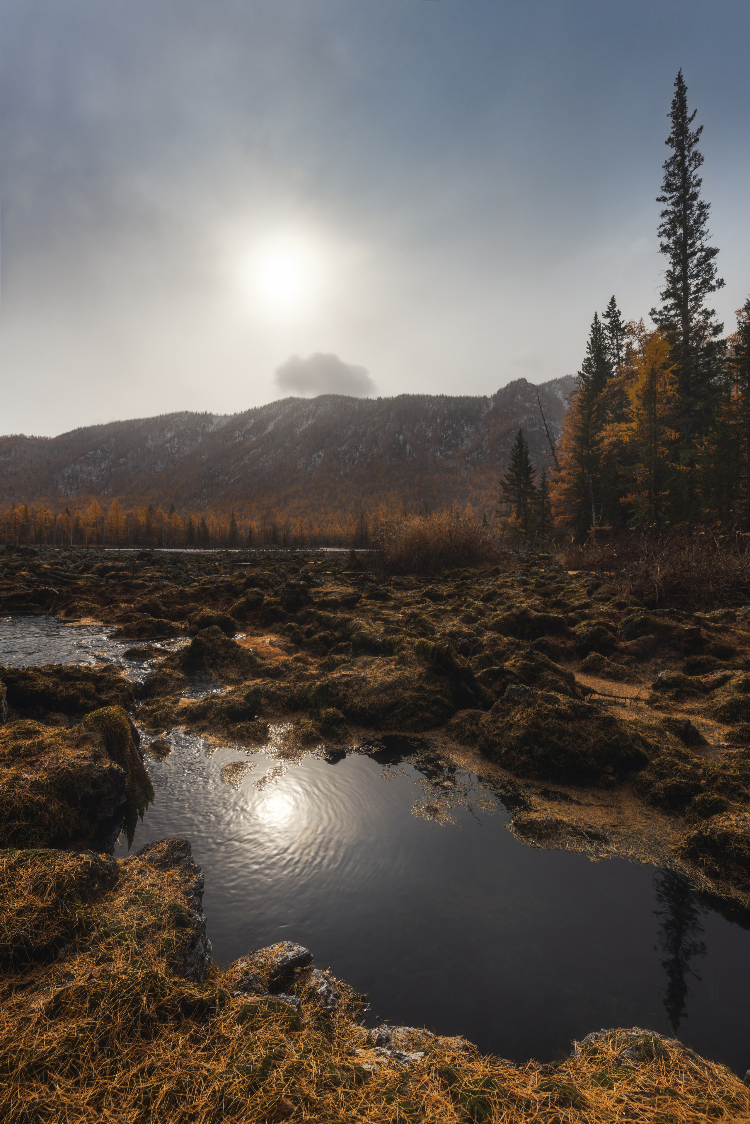 Autumn smile. Lava lakes valley, Okinsky district, Republic of Buryatia, the Eastern Siberia, Russia.