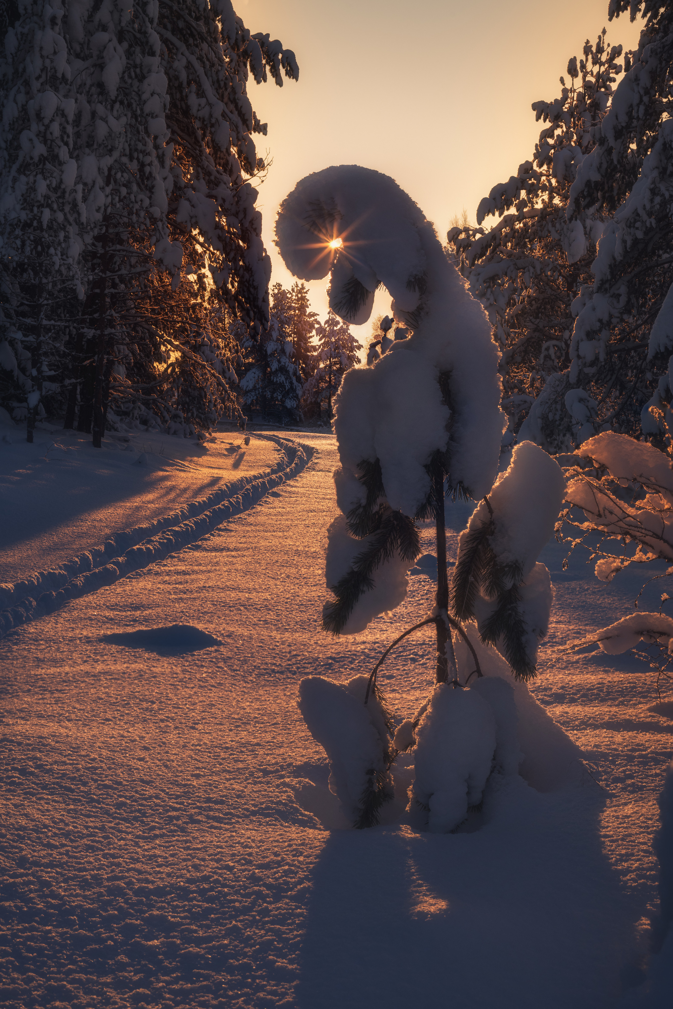 Республика Карелия. Елена Лебедева. Фотограф