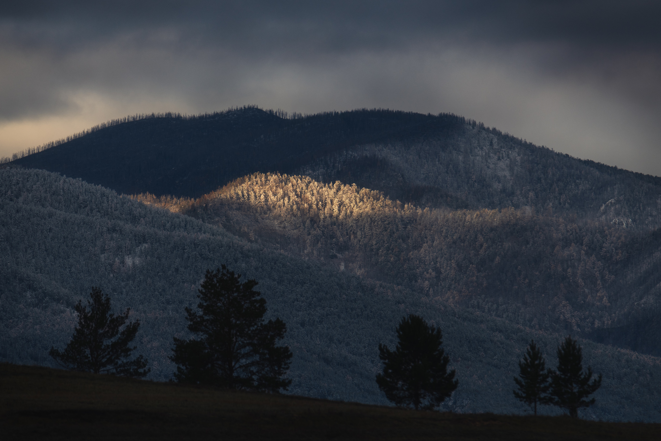 Sunlight isle. Kurumkansky district, the Republic of Buryatia, Russia.