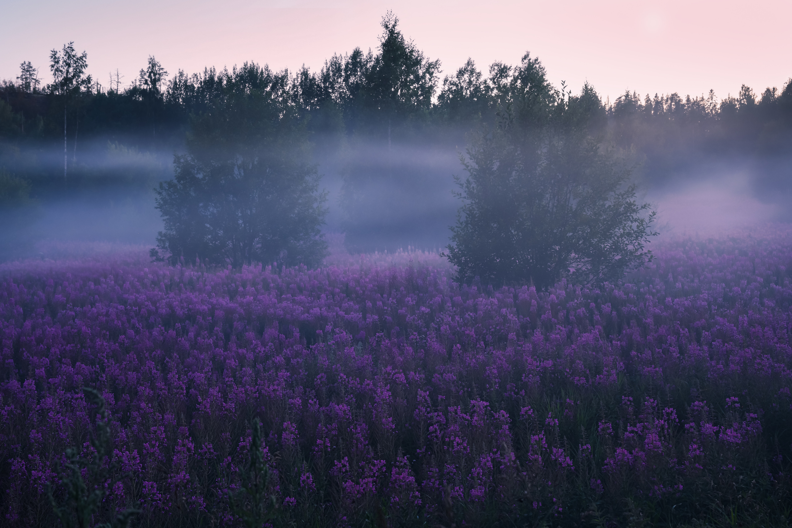 Республика Карелия. Елена Лебедева. Фотограф