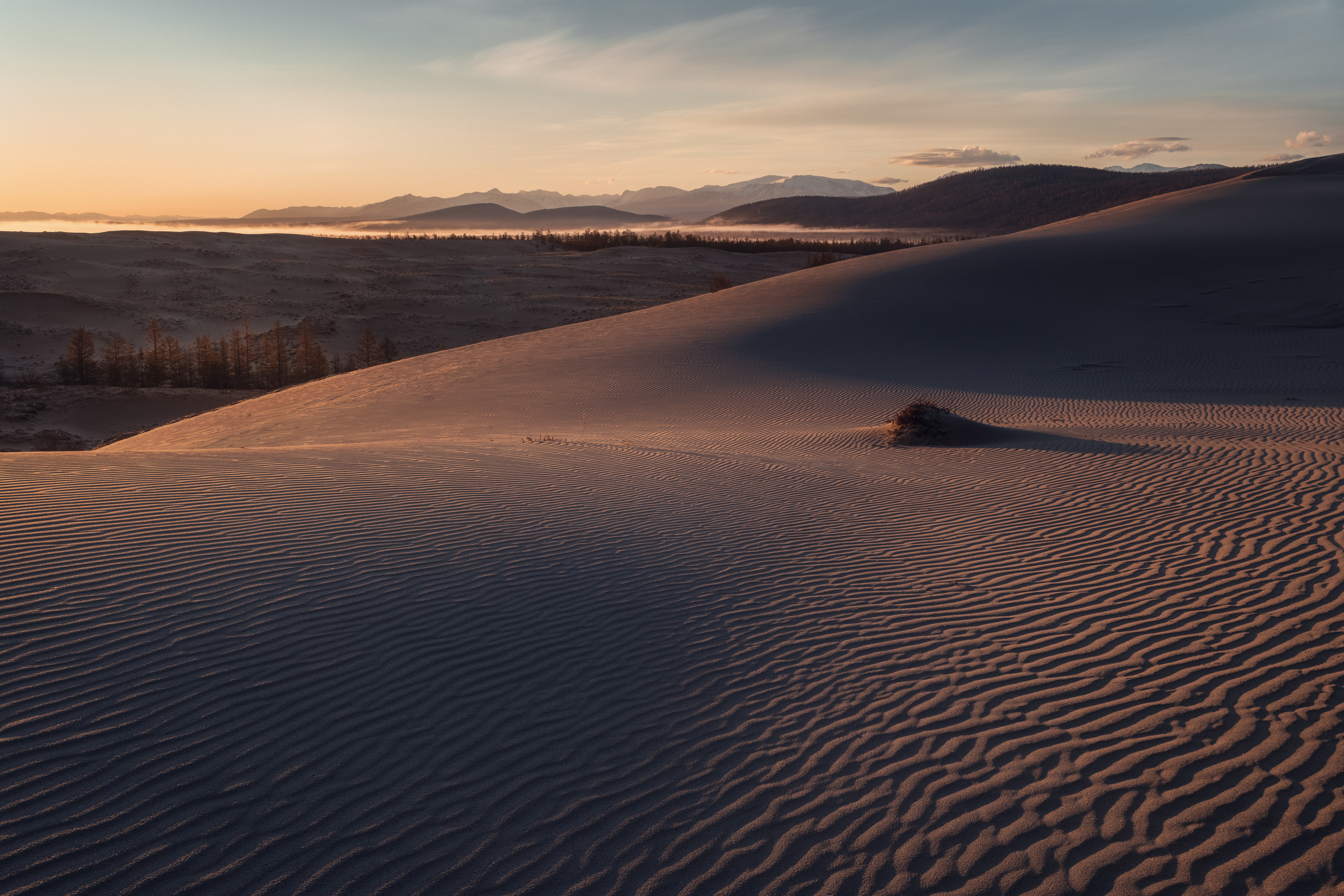 Чарские Пески. Елена Лебедева. Фотограф