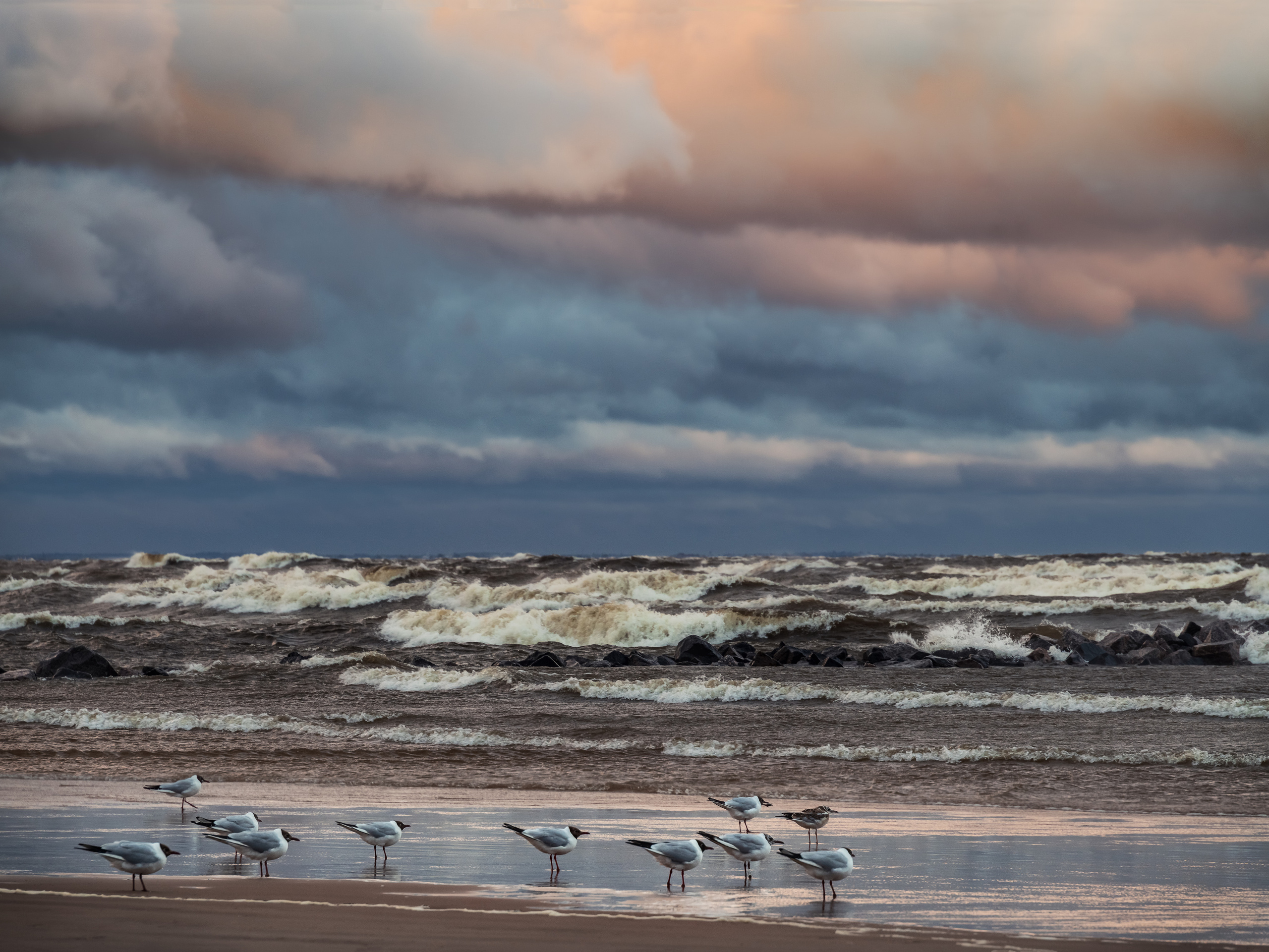 Россия разная. Елена Лебедева. Фотограф
