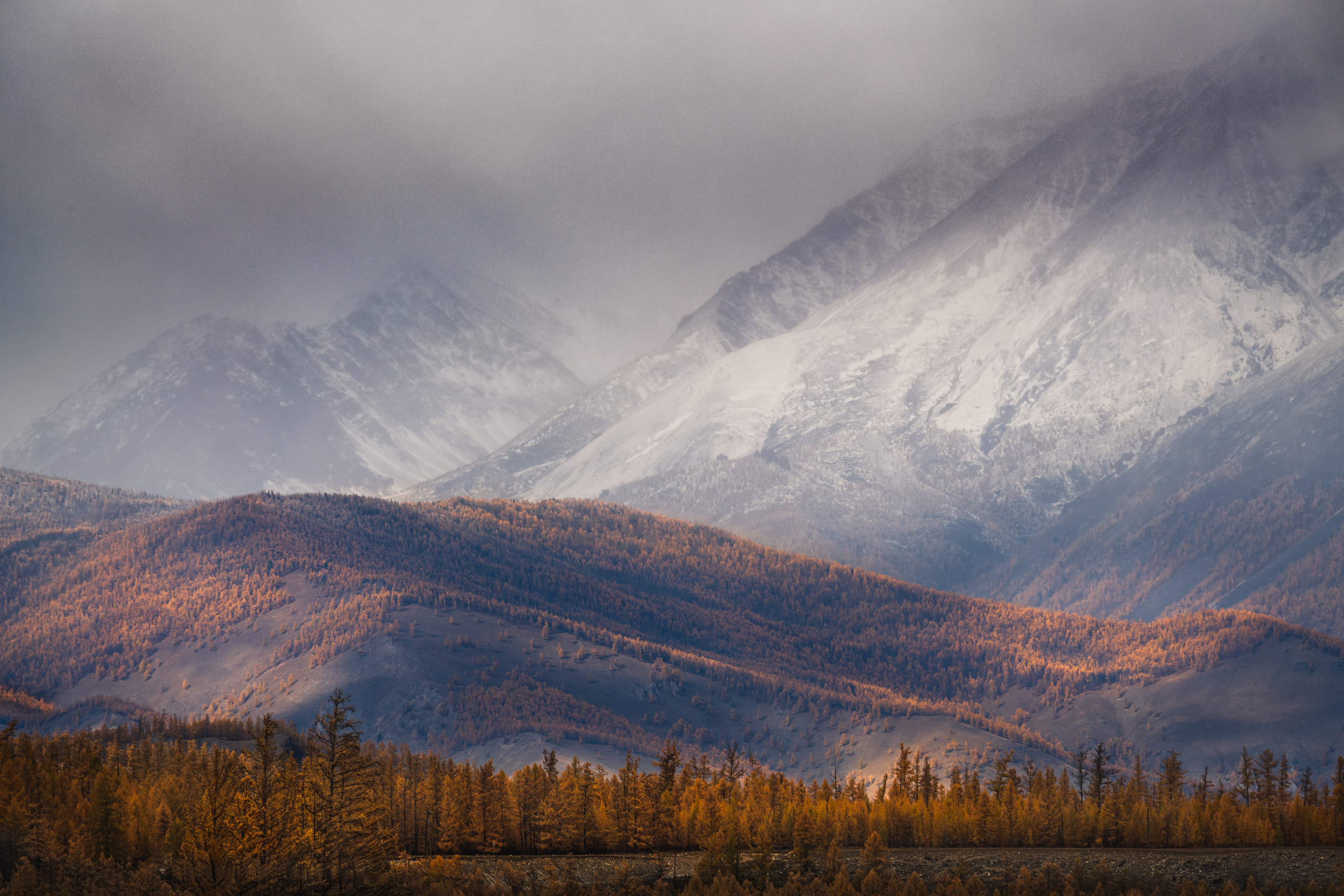 In the Sayan Mountains. Okinsky district, the Eastern Sayan Mountains, the Republic of Buryatia, the Eastern Siberia, Russia.
