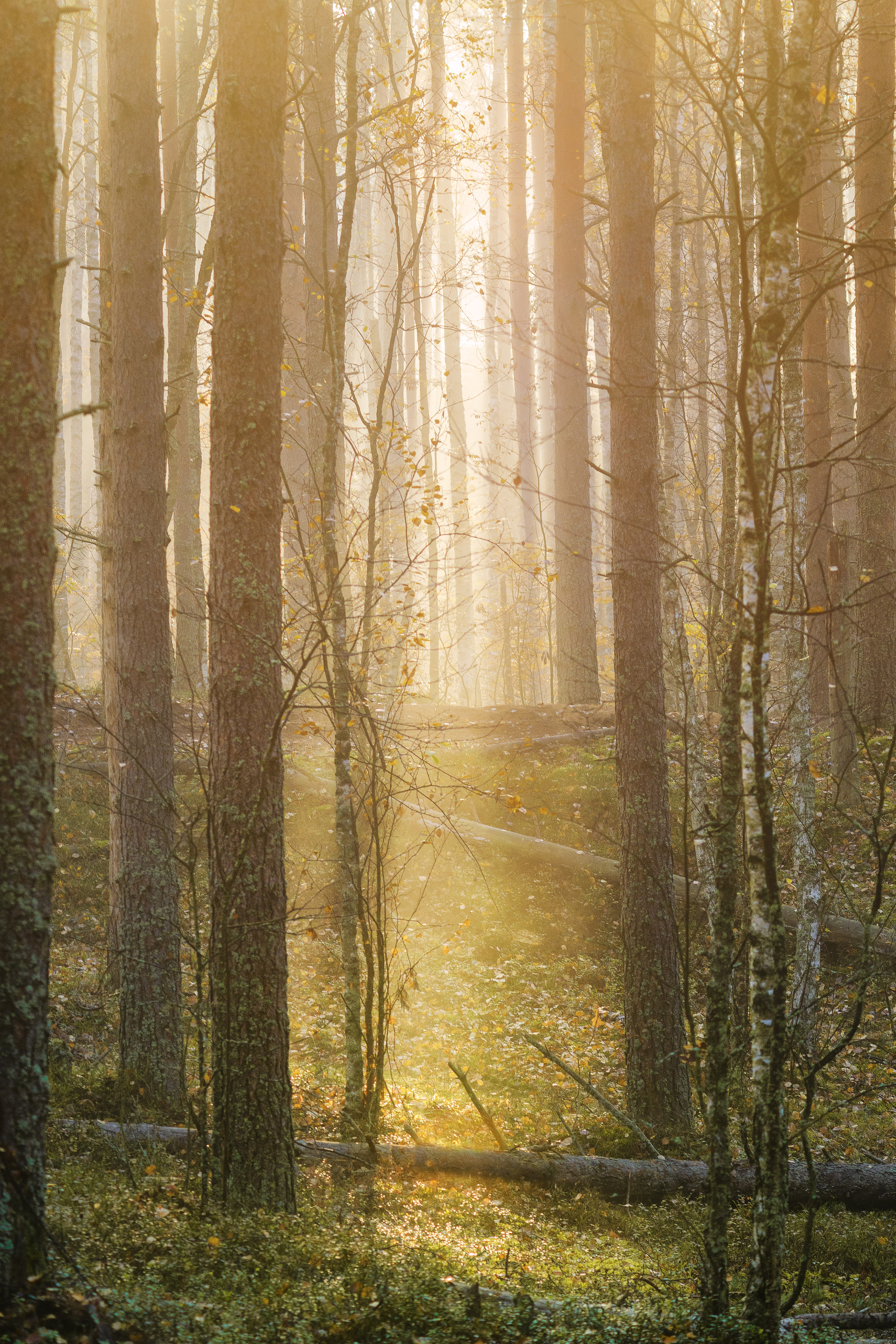 Россия разная. Елена Лебедева. Фотограф