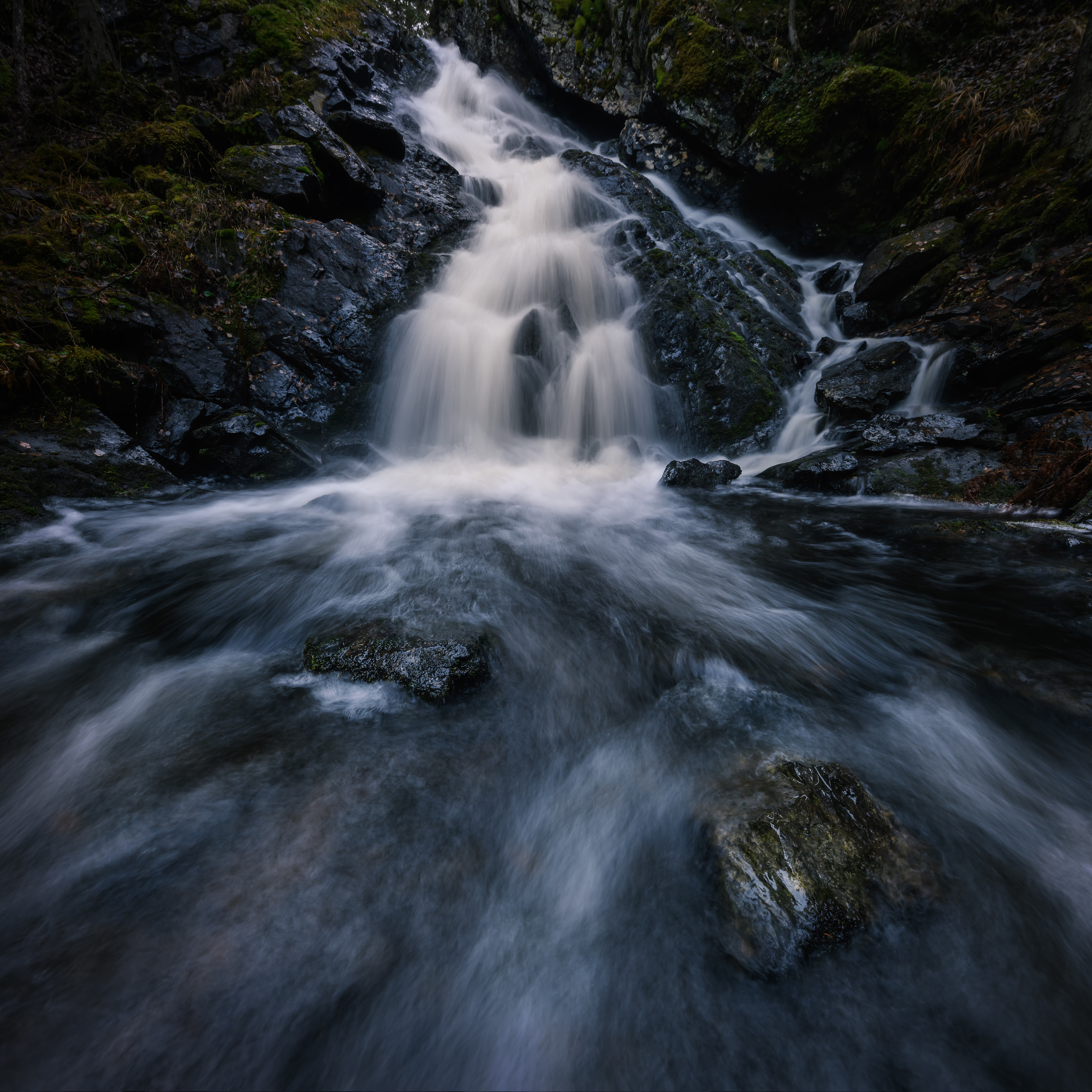 Республика Карелия. Елена Лебедева. Фотограф